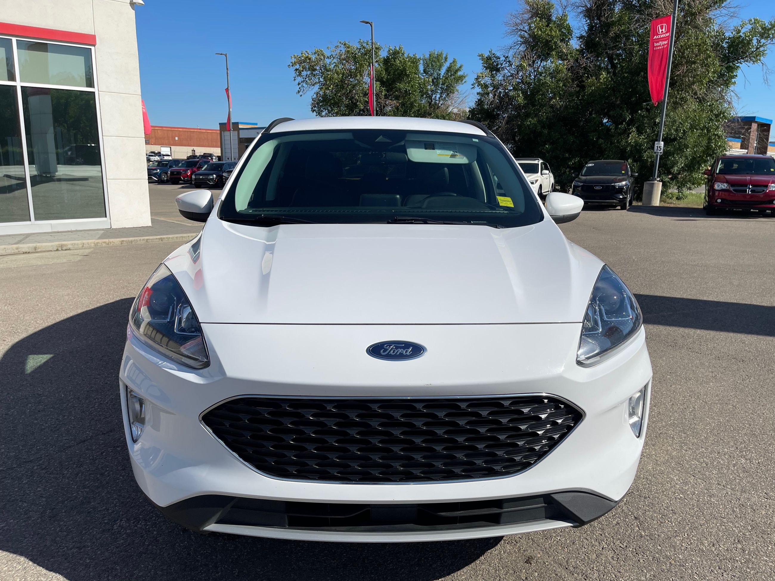 Ford Escape  2021 à Regina, Saskatchewan
