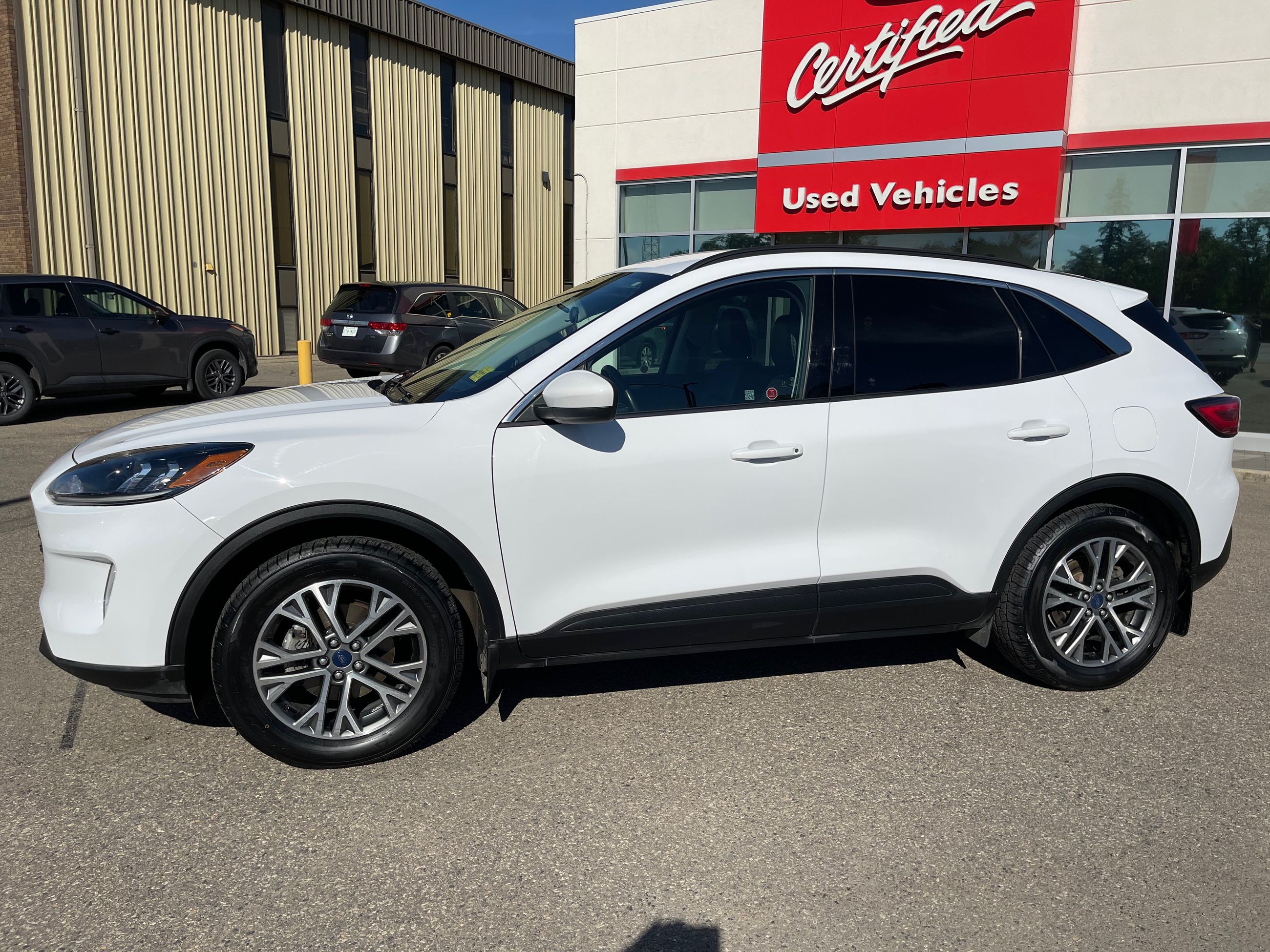 Ford Escape  2021 à Regina, Saskatchewan