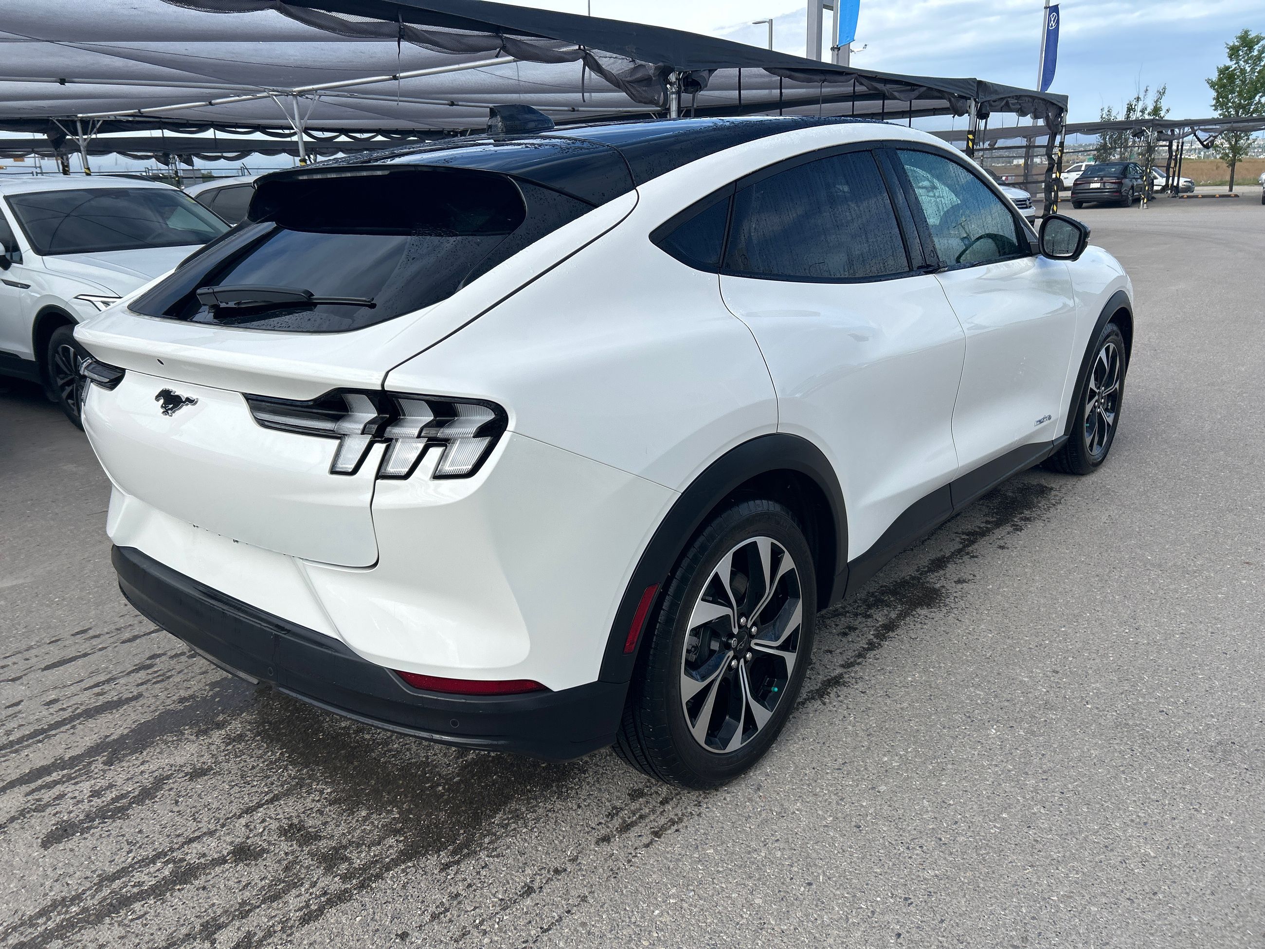 2025 Ford Mustang Mach-E in Calgary, Alberta