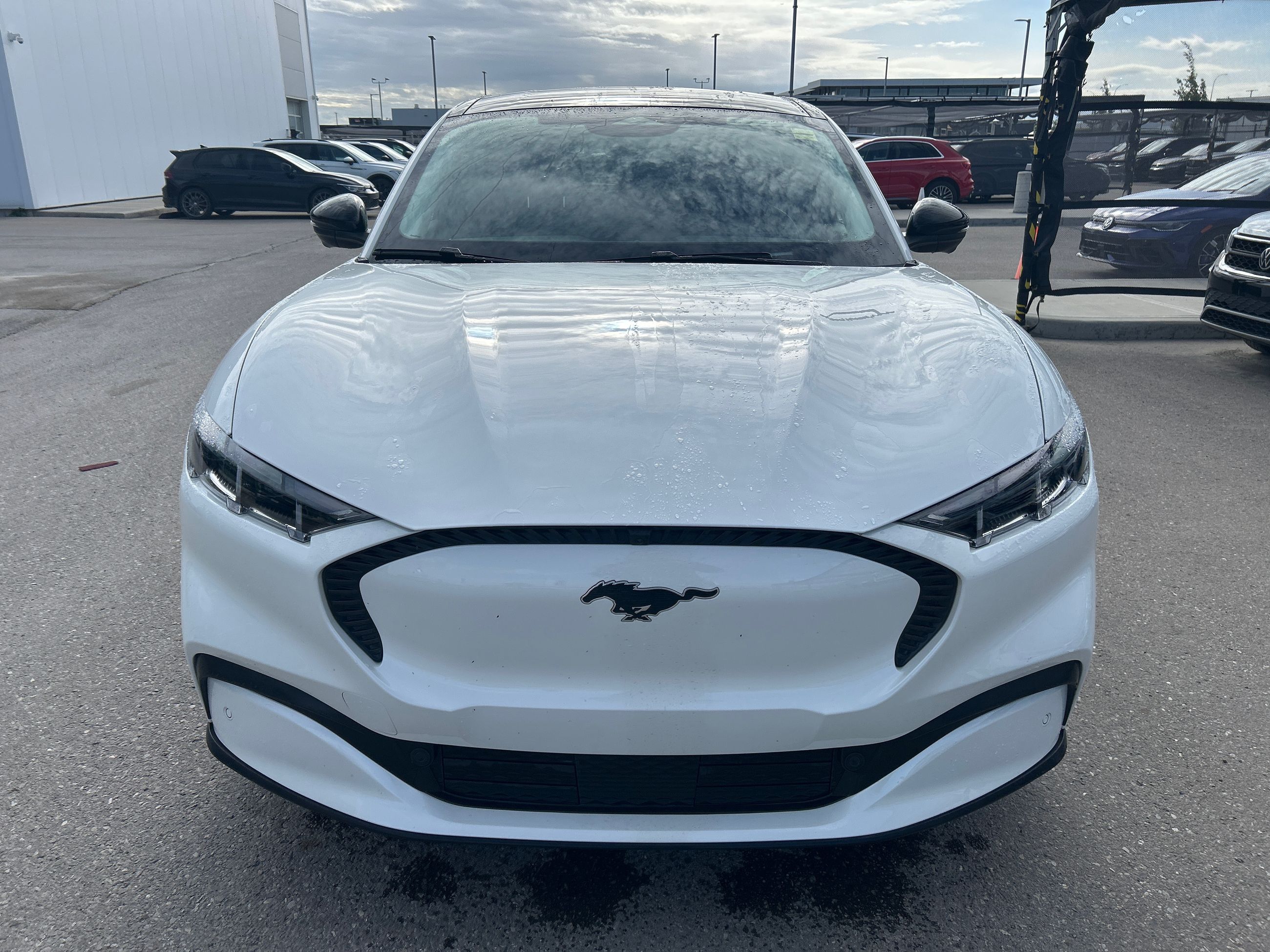 2025 Ford Mustang Mach-E in Calgary, Alberta
