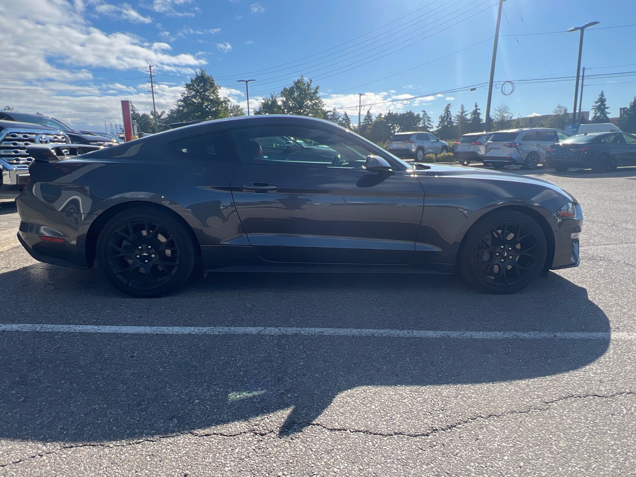 Ford Mustang  2019 à Bolton, Ontario