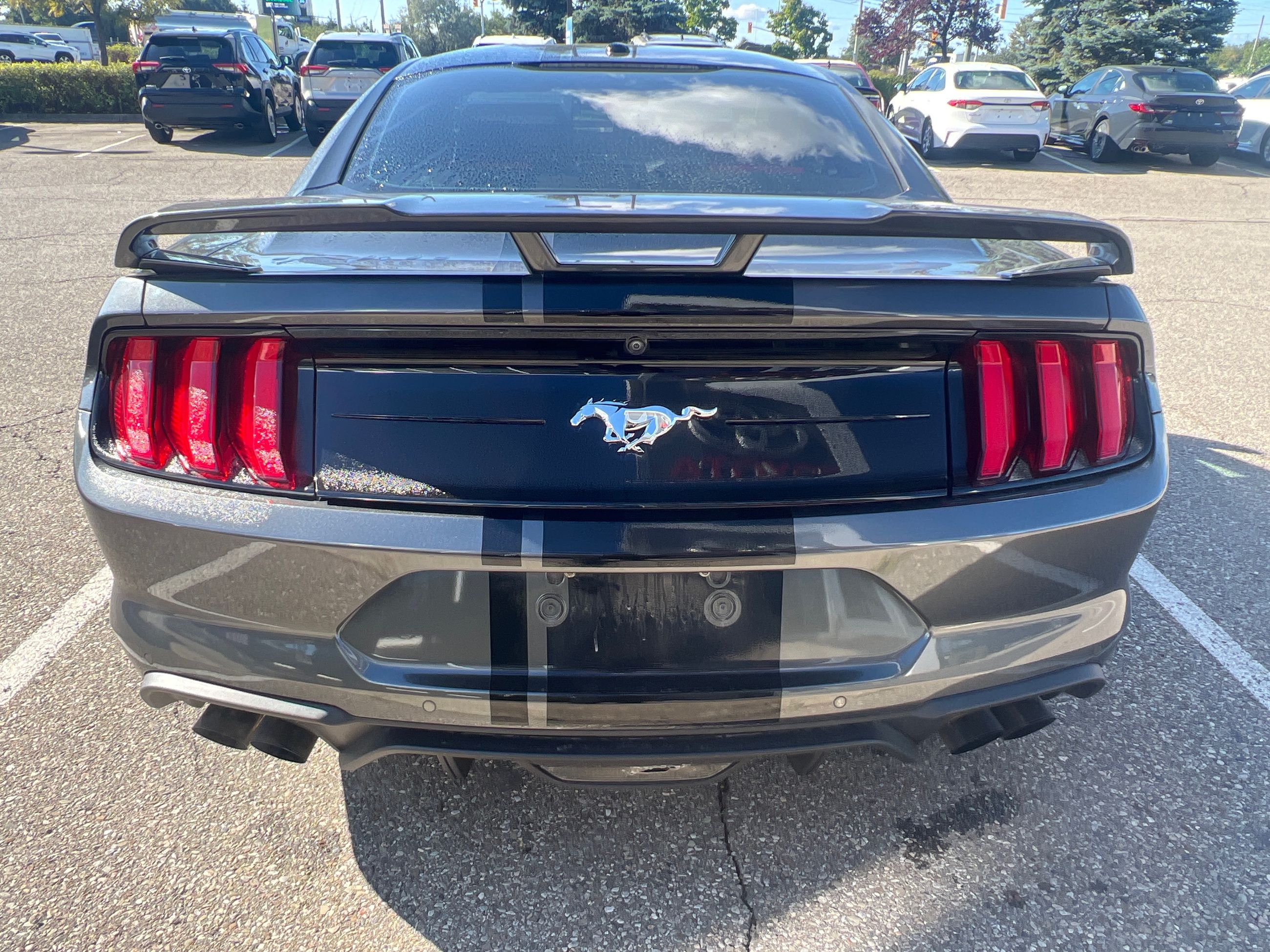 Ford Mustang  2019 à Bolton, Ontario