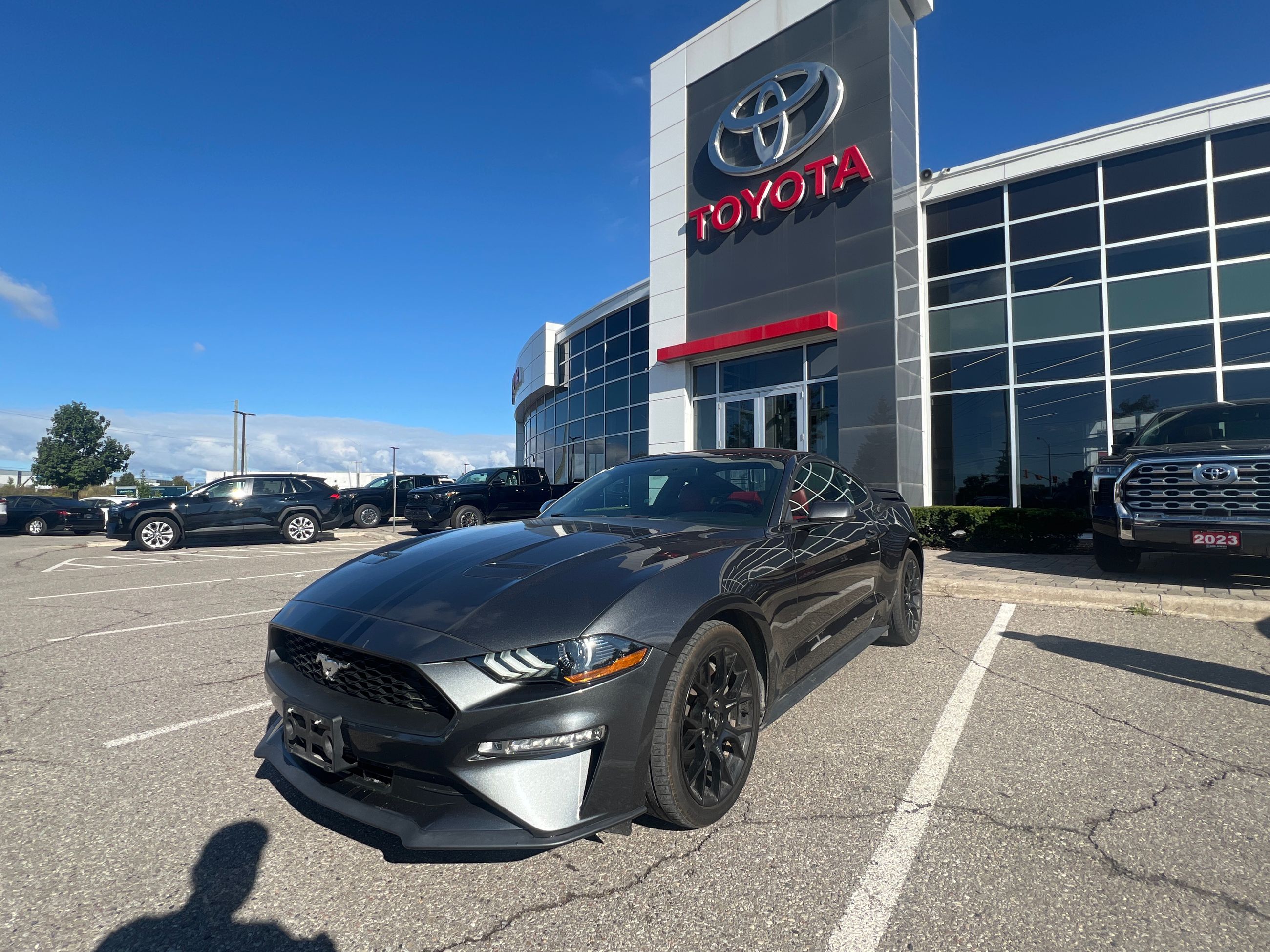 Ford Mustang  2019 à Bolton, Ontario