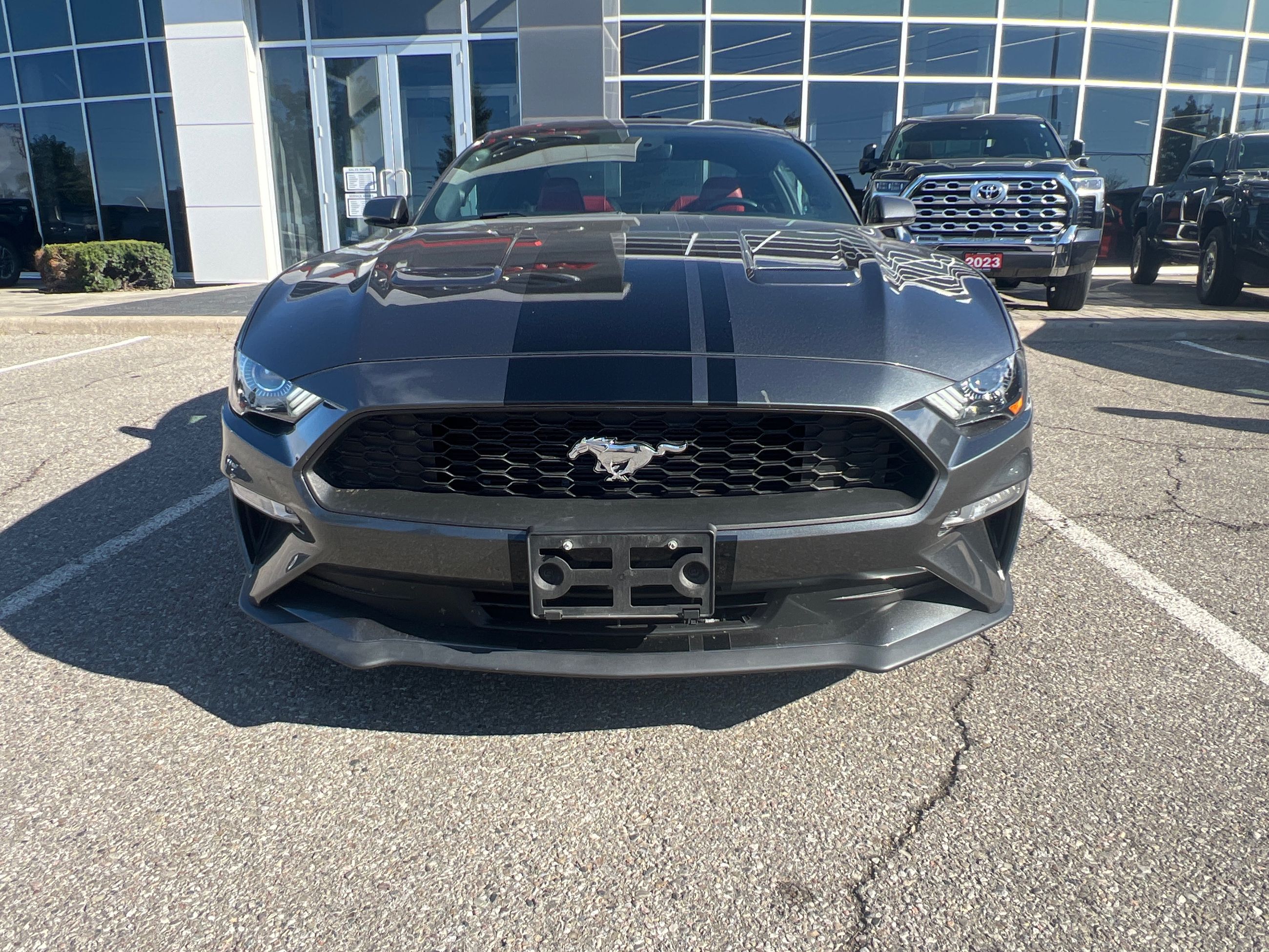 Ford Mustang  2019 à Bolton, Ontario