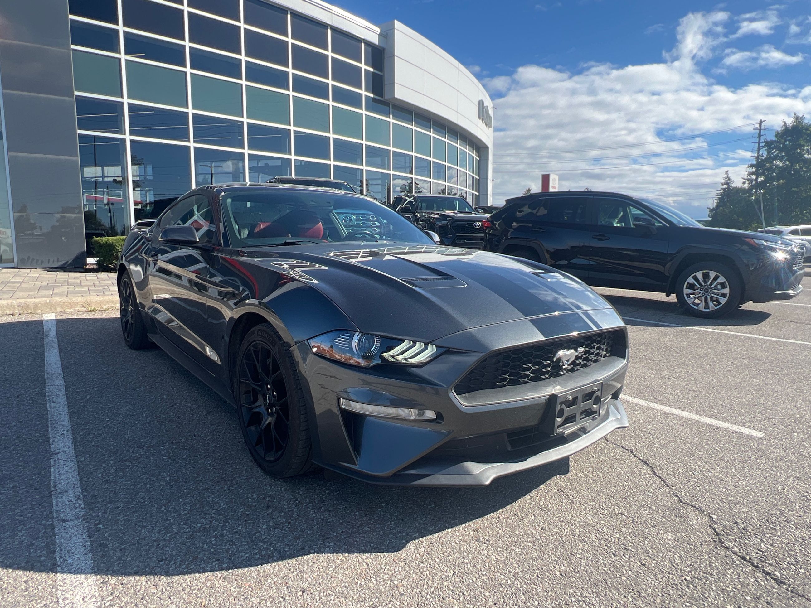 Ford Mustang  2019 à Bolton, Ontario