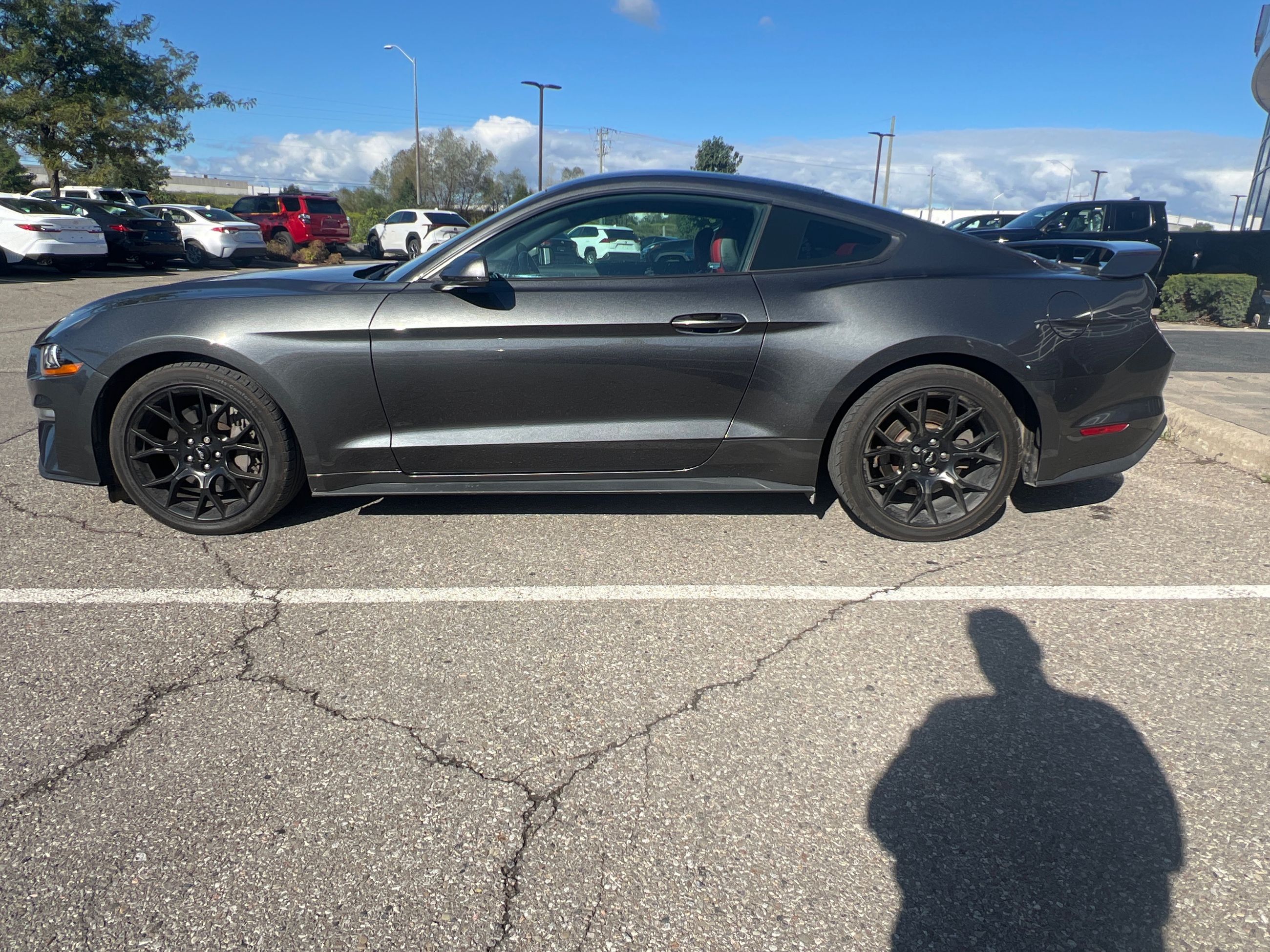 Ford Mustang  2019 à Bolton, Ontario