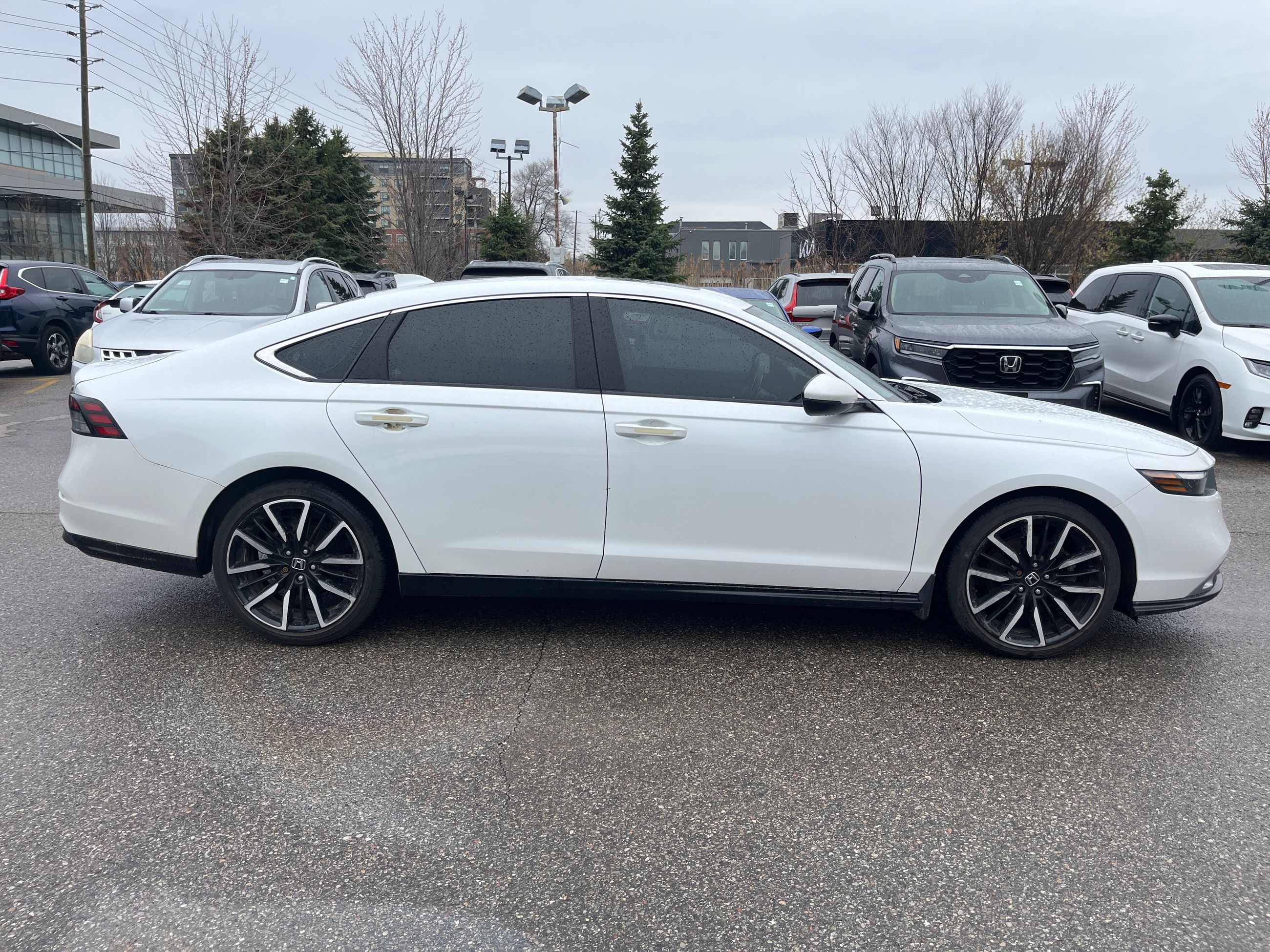2023 Honda Accord