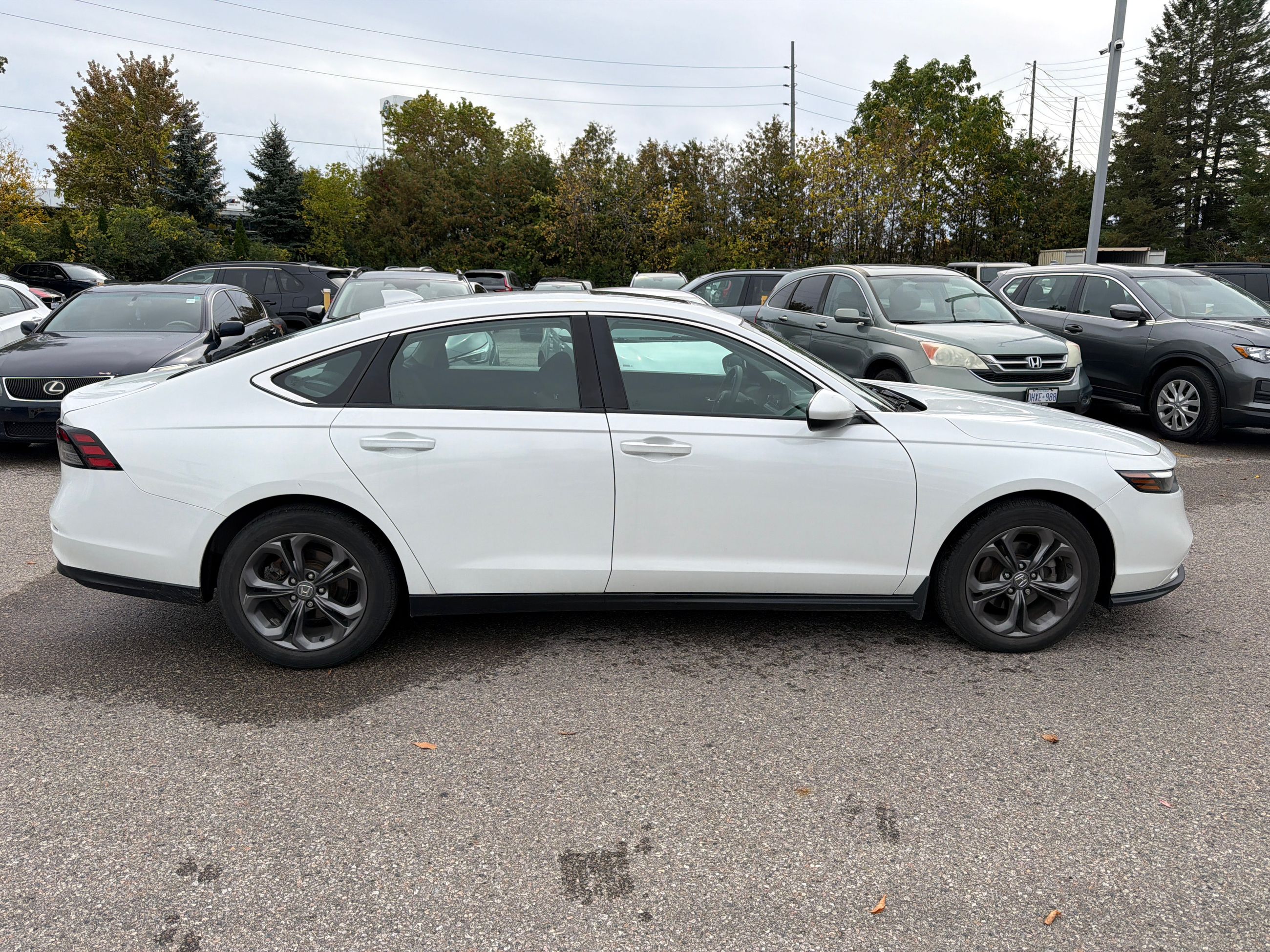 2023 Honda Accord in Markham, Ontario