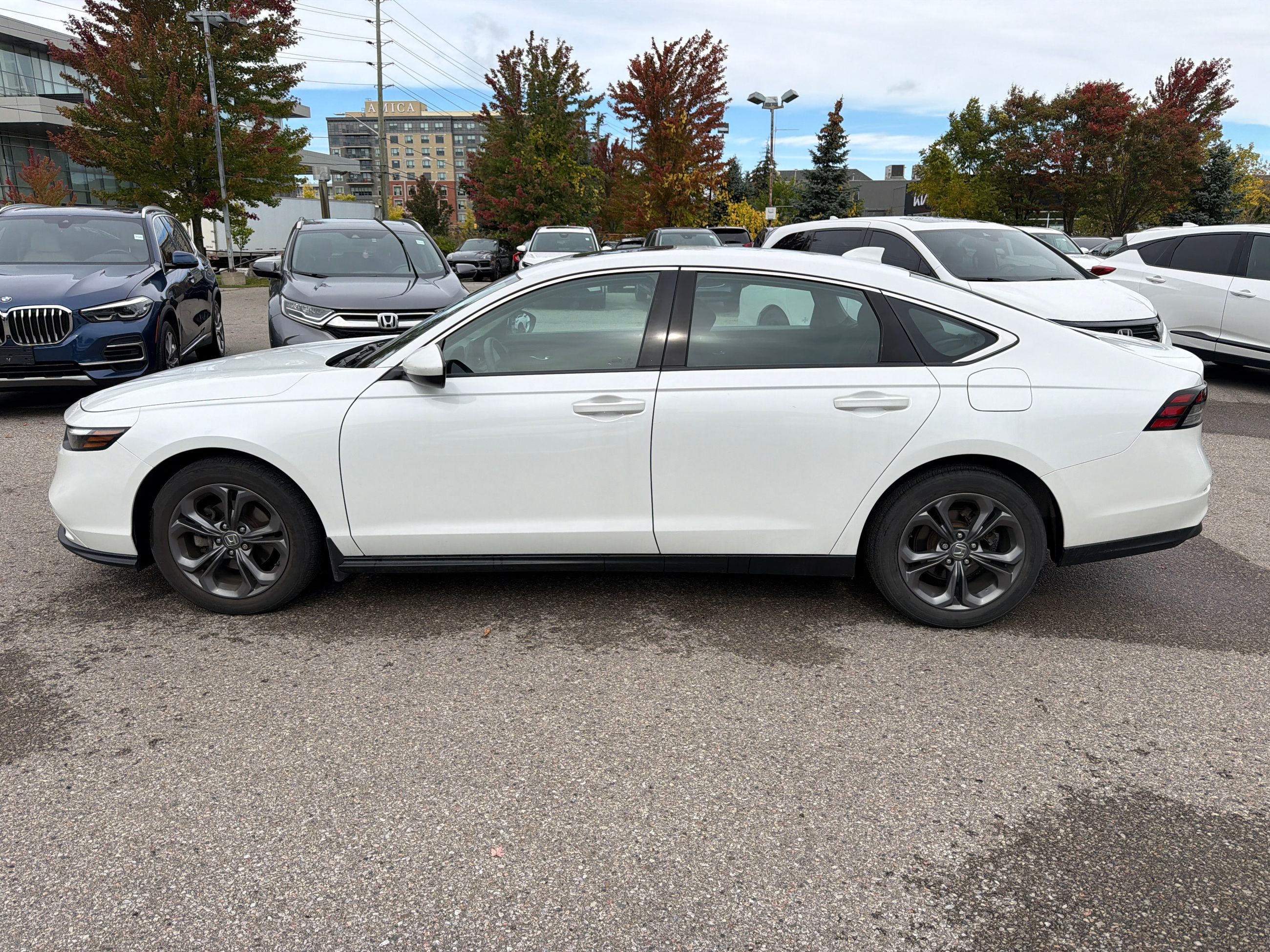 2023 Honda Accord in Markham, Ontario