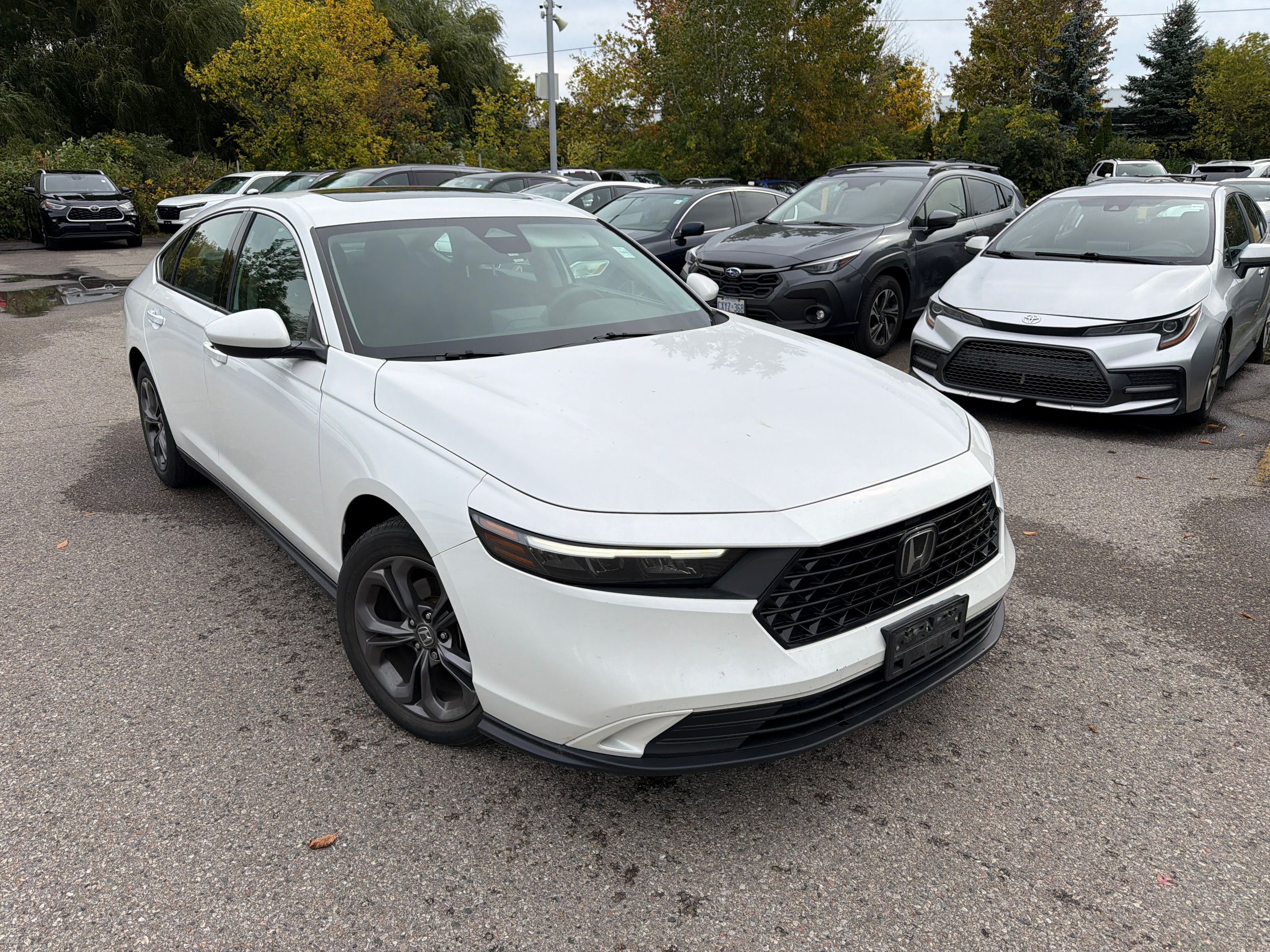 2023 Honda Accord in Markham, Ontario
