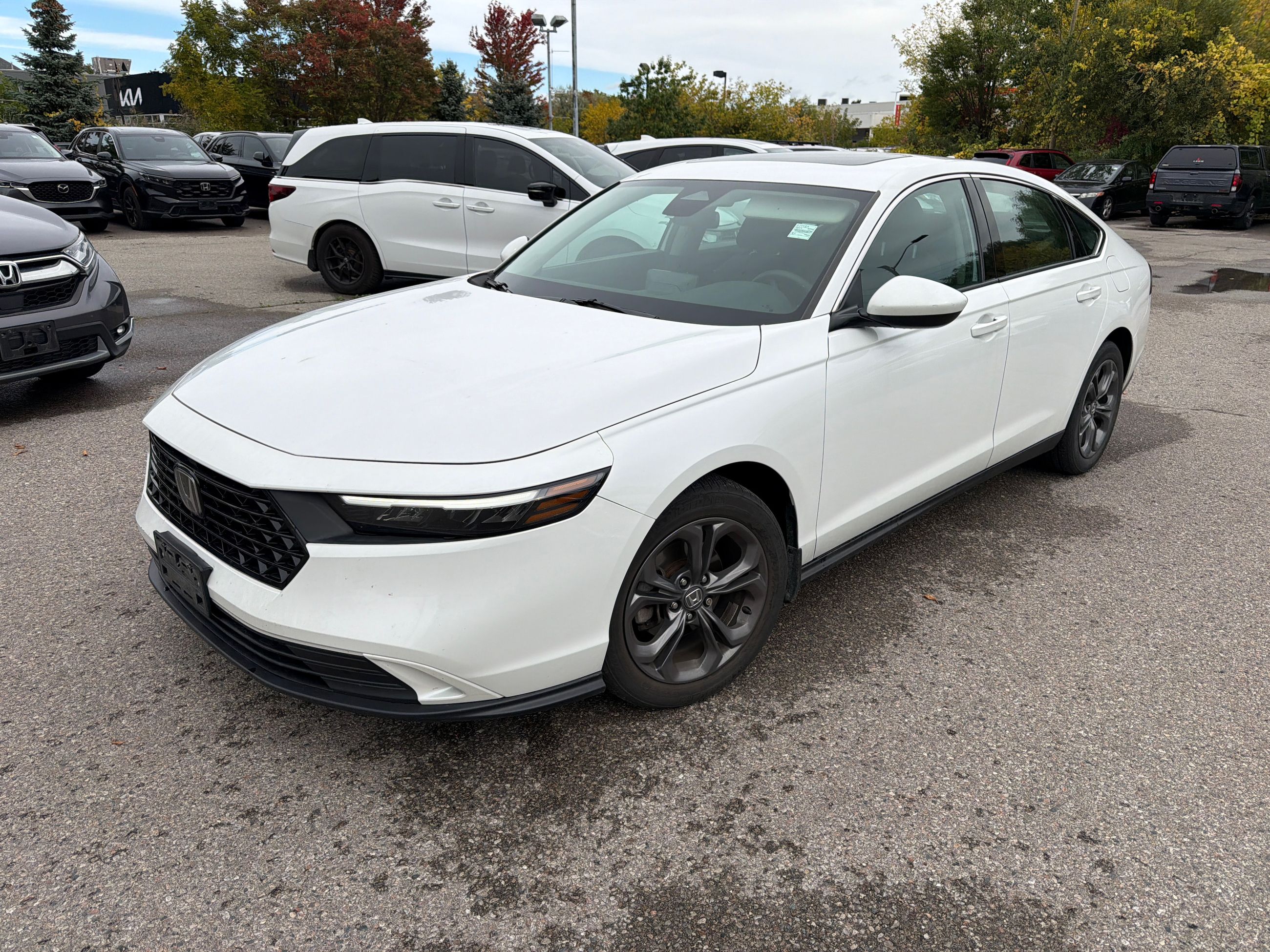 2023 Honda Accord in Markham, Ontario