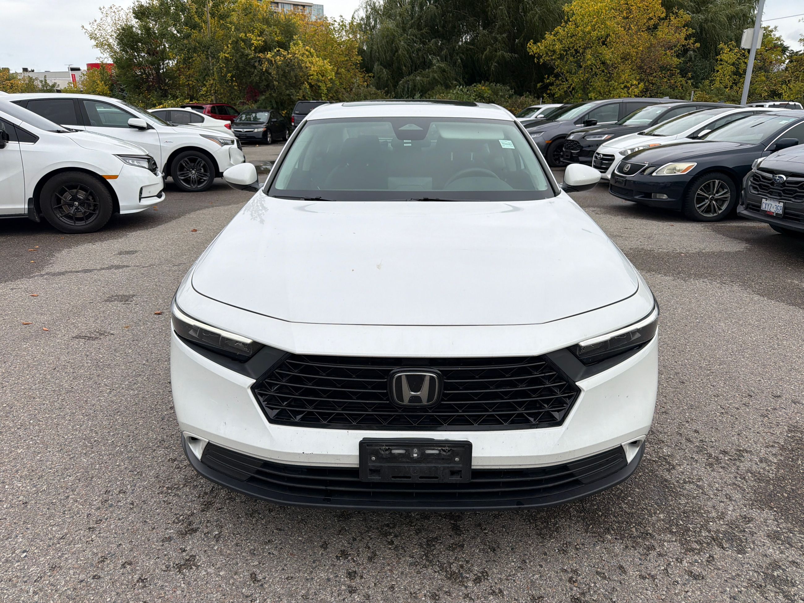 2023 Honda Accord in Markham, Ontario