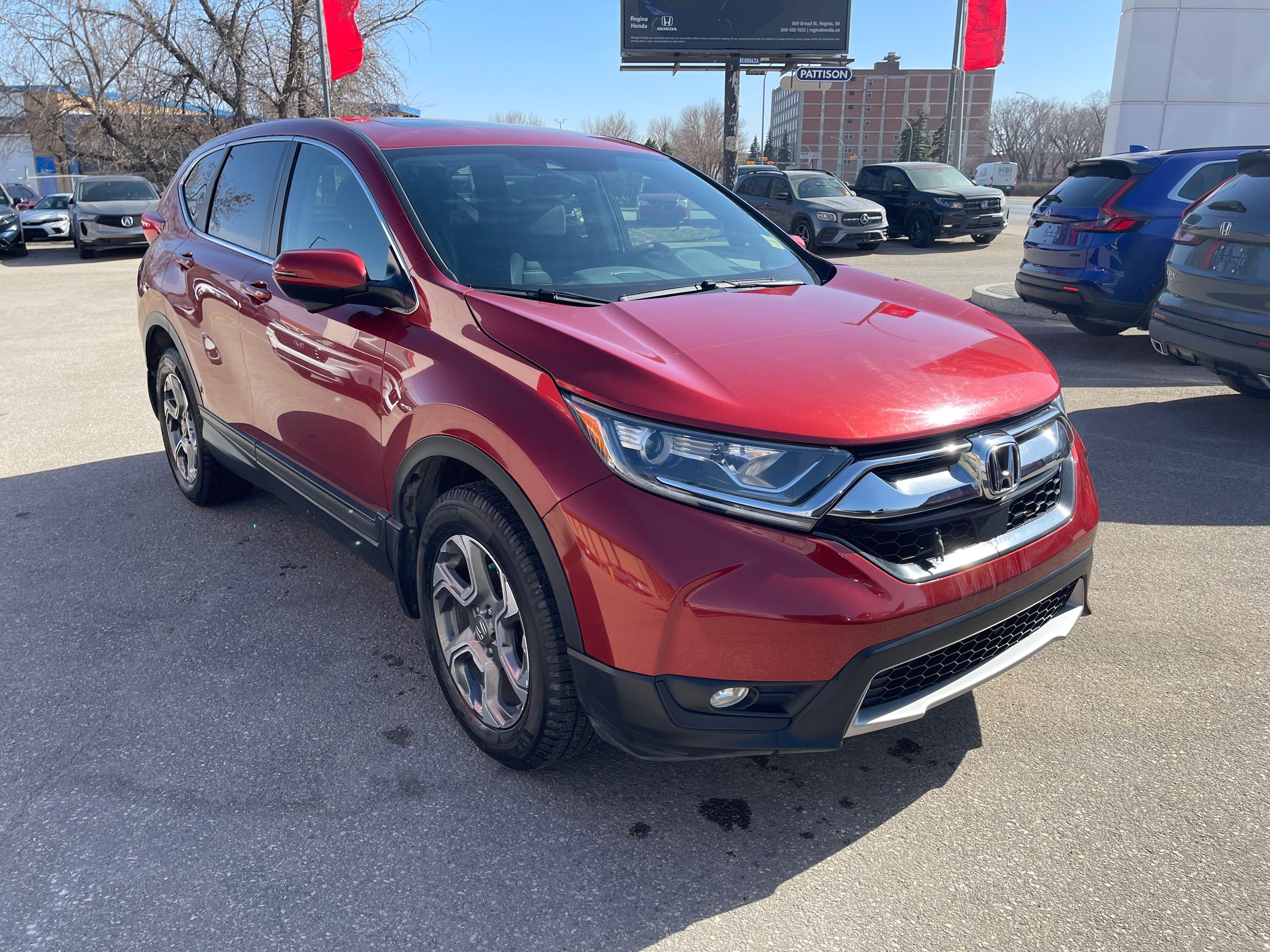 2019 Honda CR-V in Regina, Saskatchewan