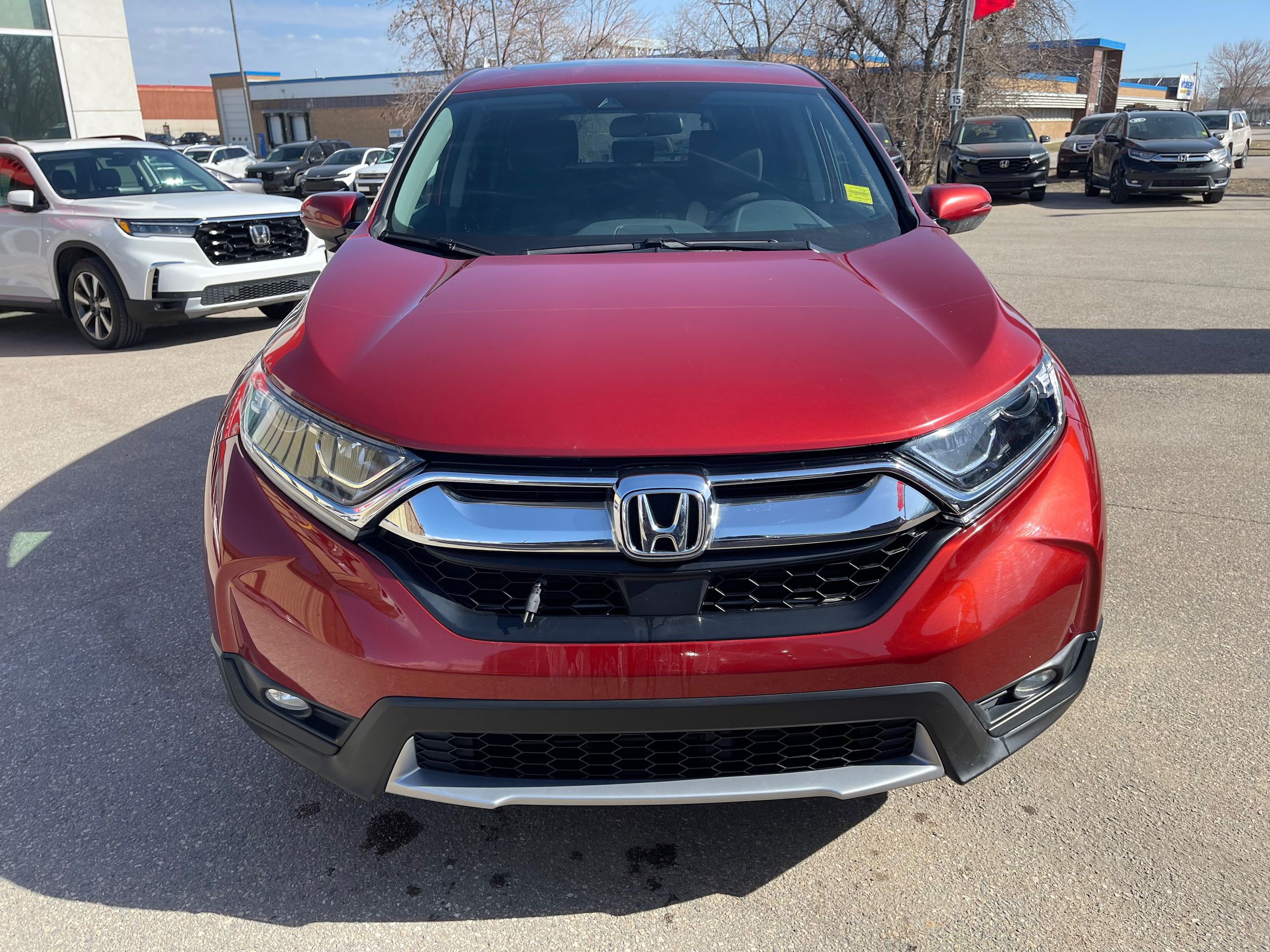 2019 Honda CR-V in Regina, Saskatchewan