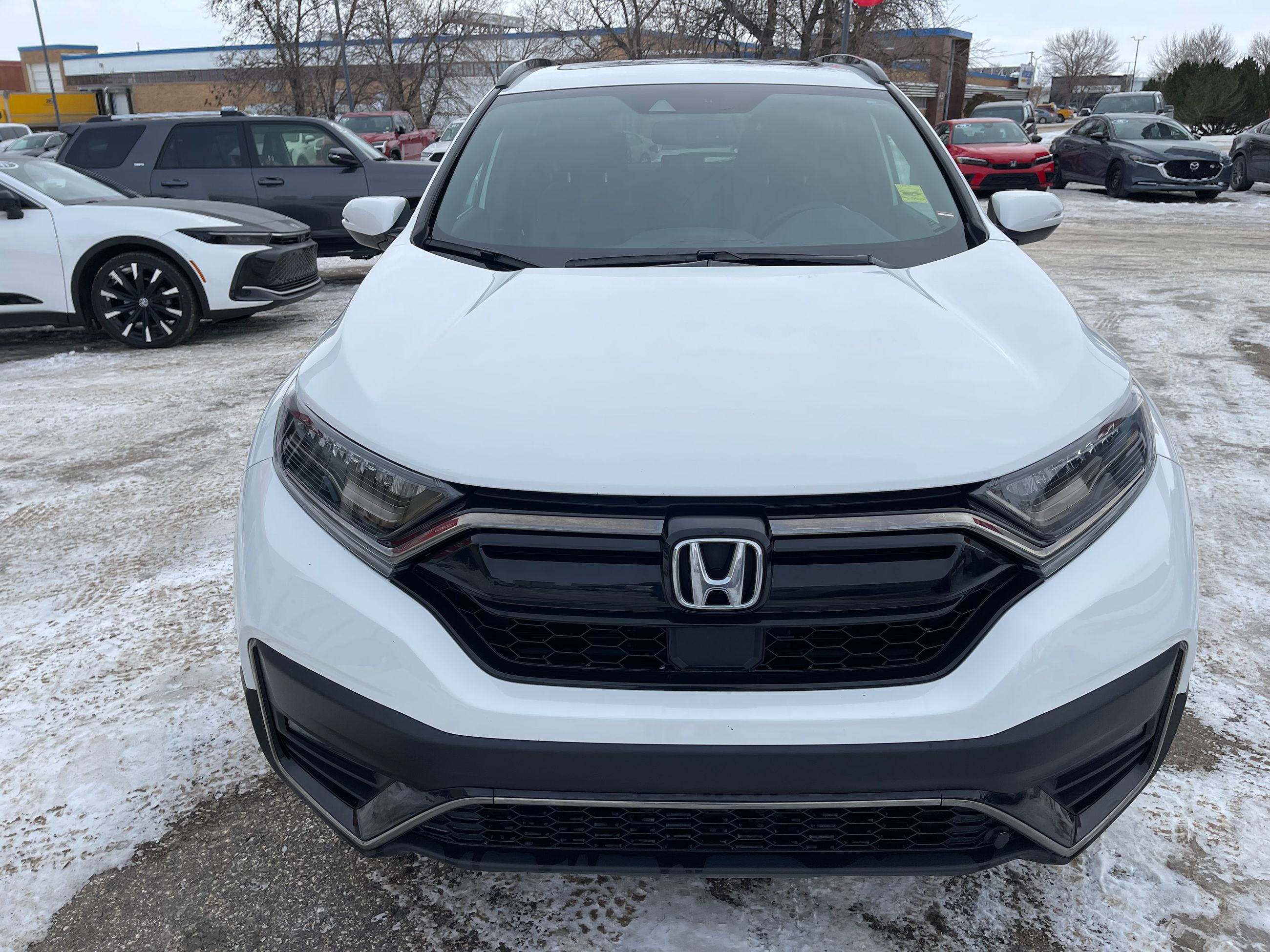 2022 Honda CR-V in Regina, Saskatchewan