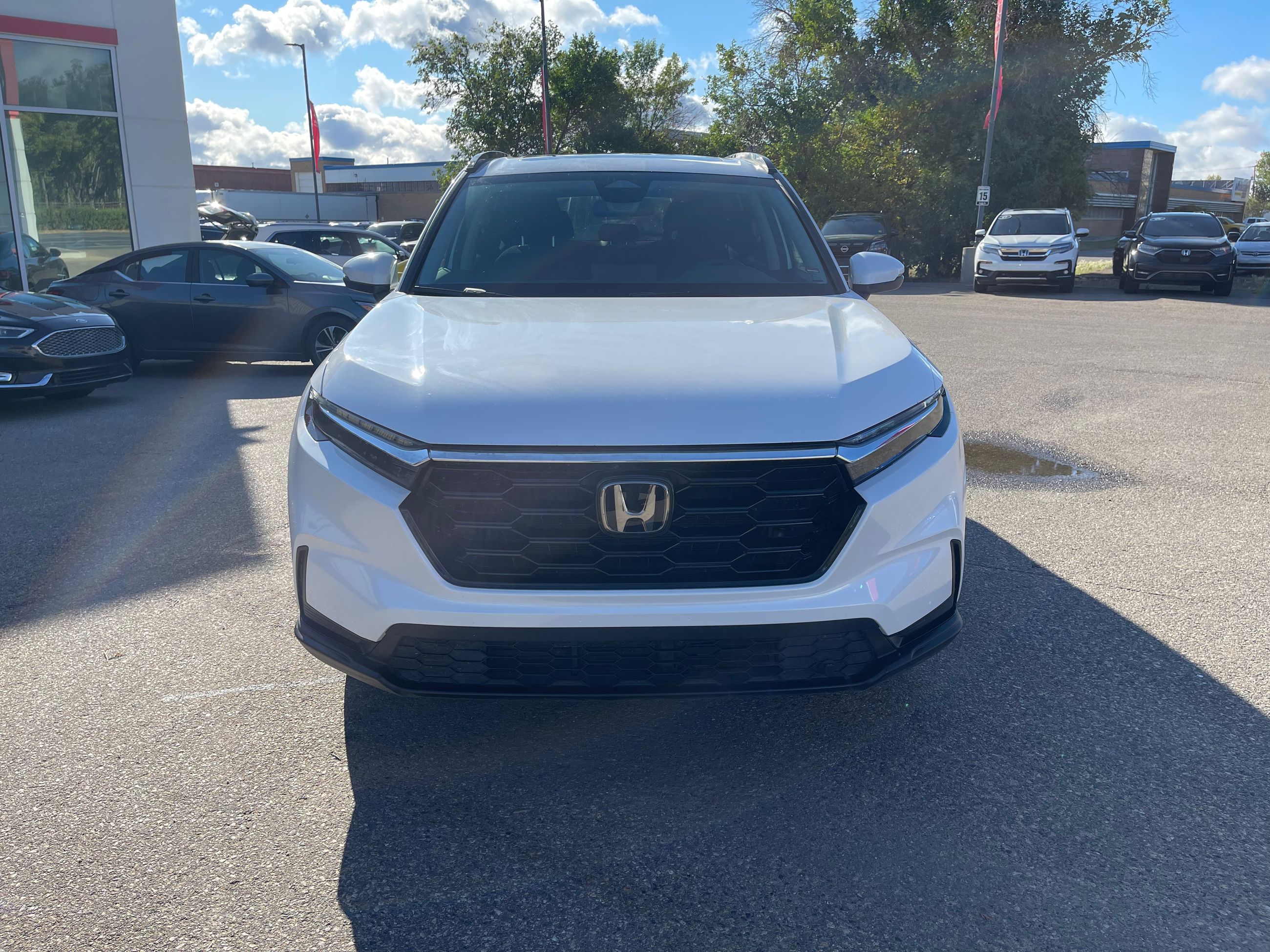 2024 Honda CR-V in Regina, Saskatchewan