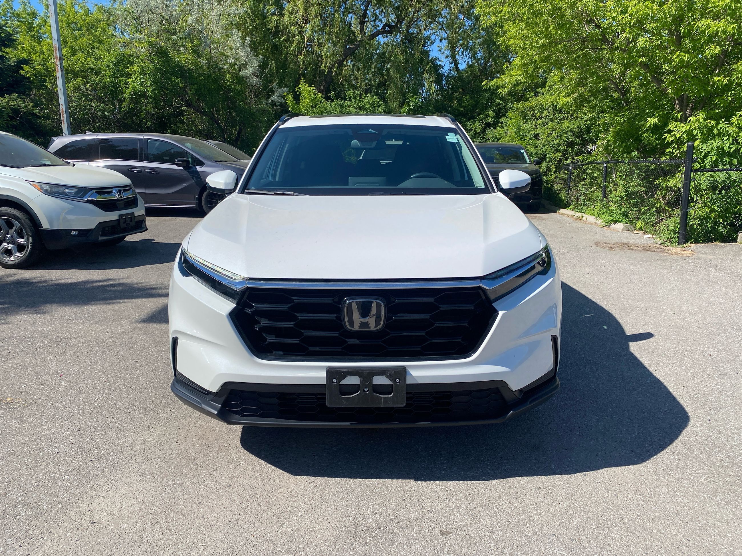 2024 Honda CR-V in Markham, Ontario