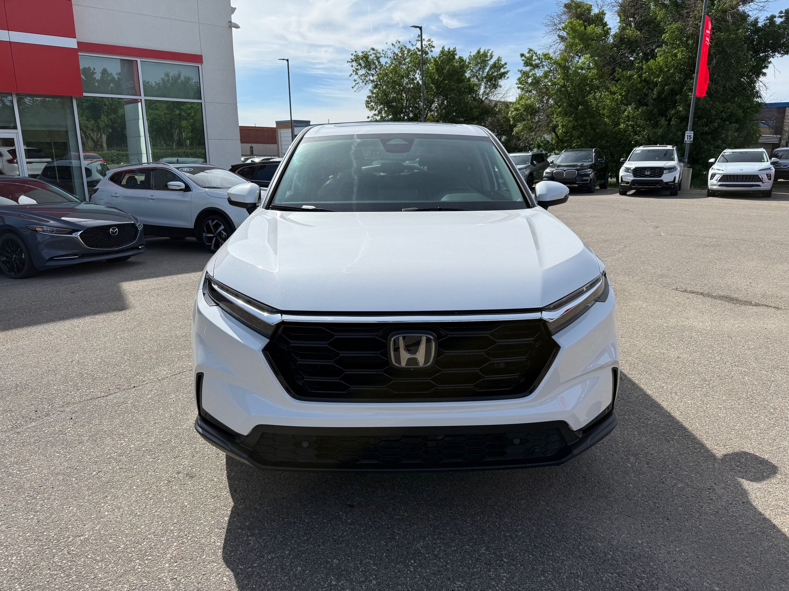 2024 Honda CR-V in Regina, Saskatchewan