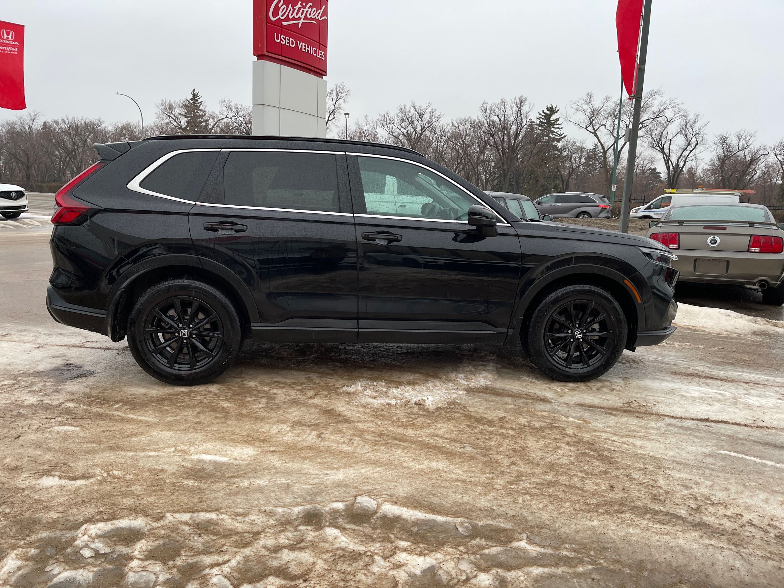2025 Honda CR-V in Regina, Saskatchewan