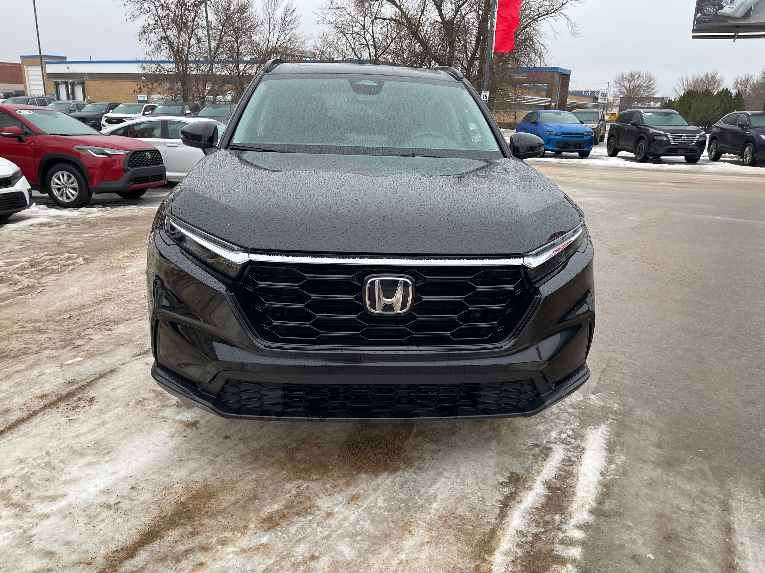 2025 Honda CR-V in Regina, Saskatchewan