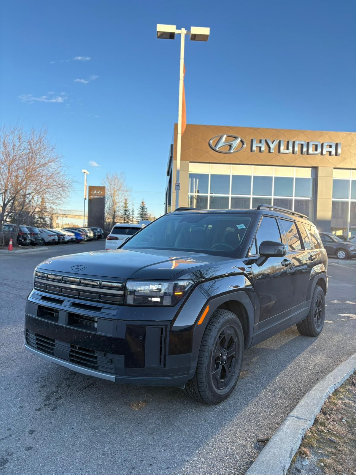 2024 Hyundai Santa Fe in Calgary, Alberta