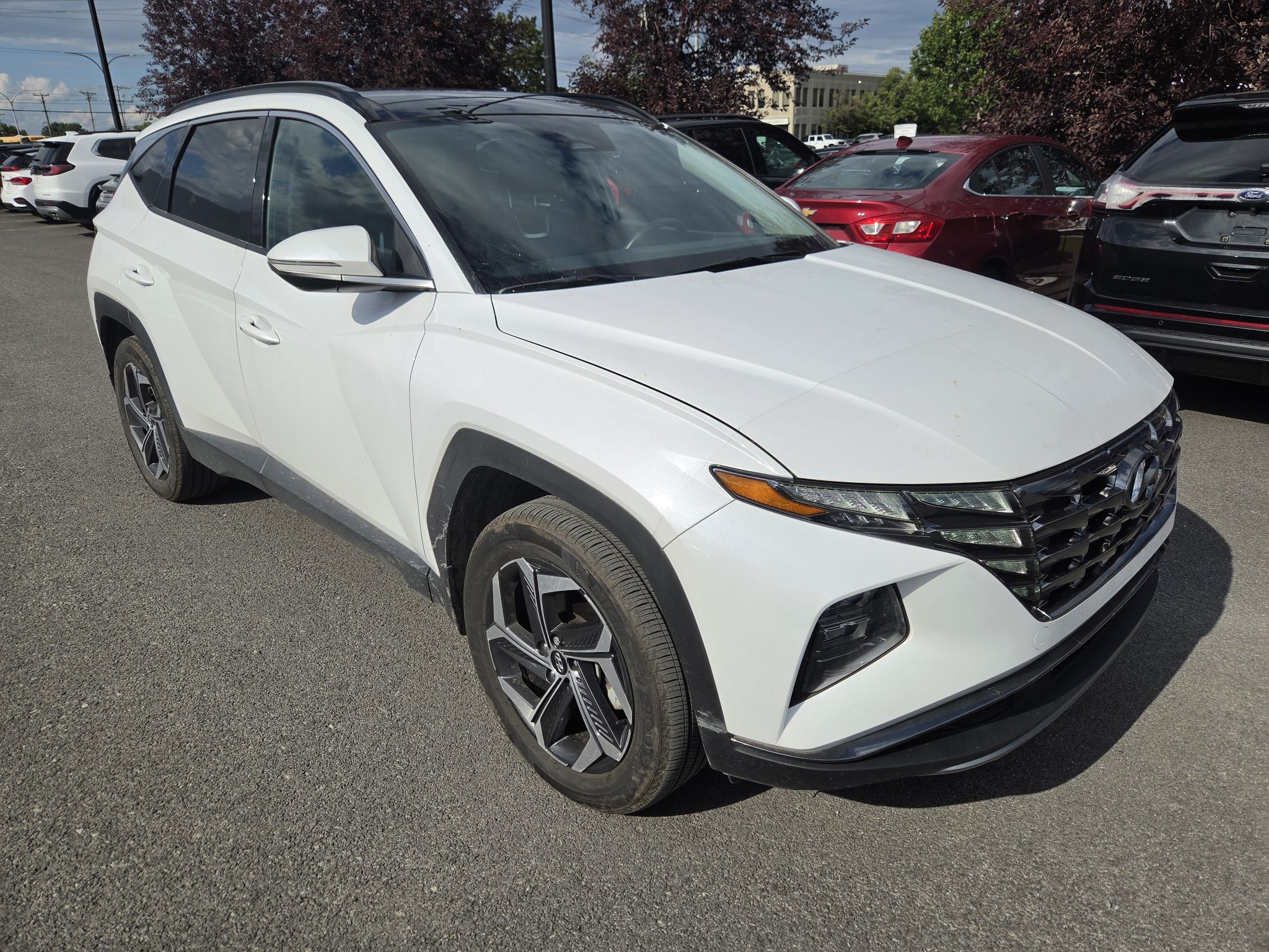 2023 Hyundai Tucson Hybrid in Dollard-des-Ormeaux, Quebec