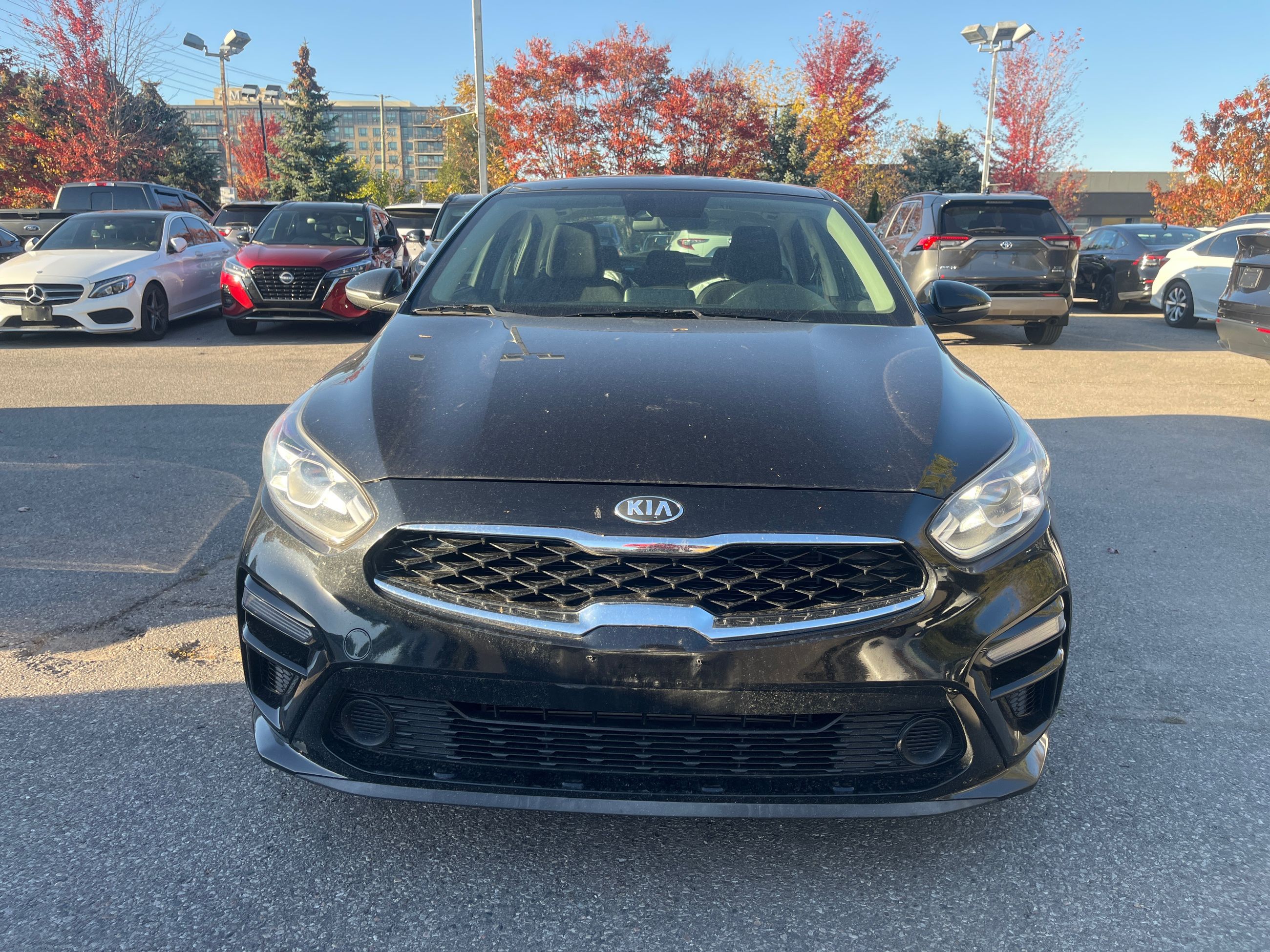 Markham Honda | 2019 Kia Forte Sedan EX | #P13351