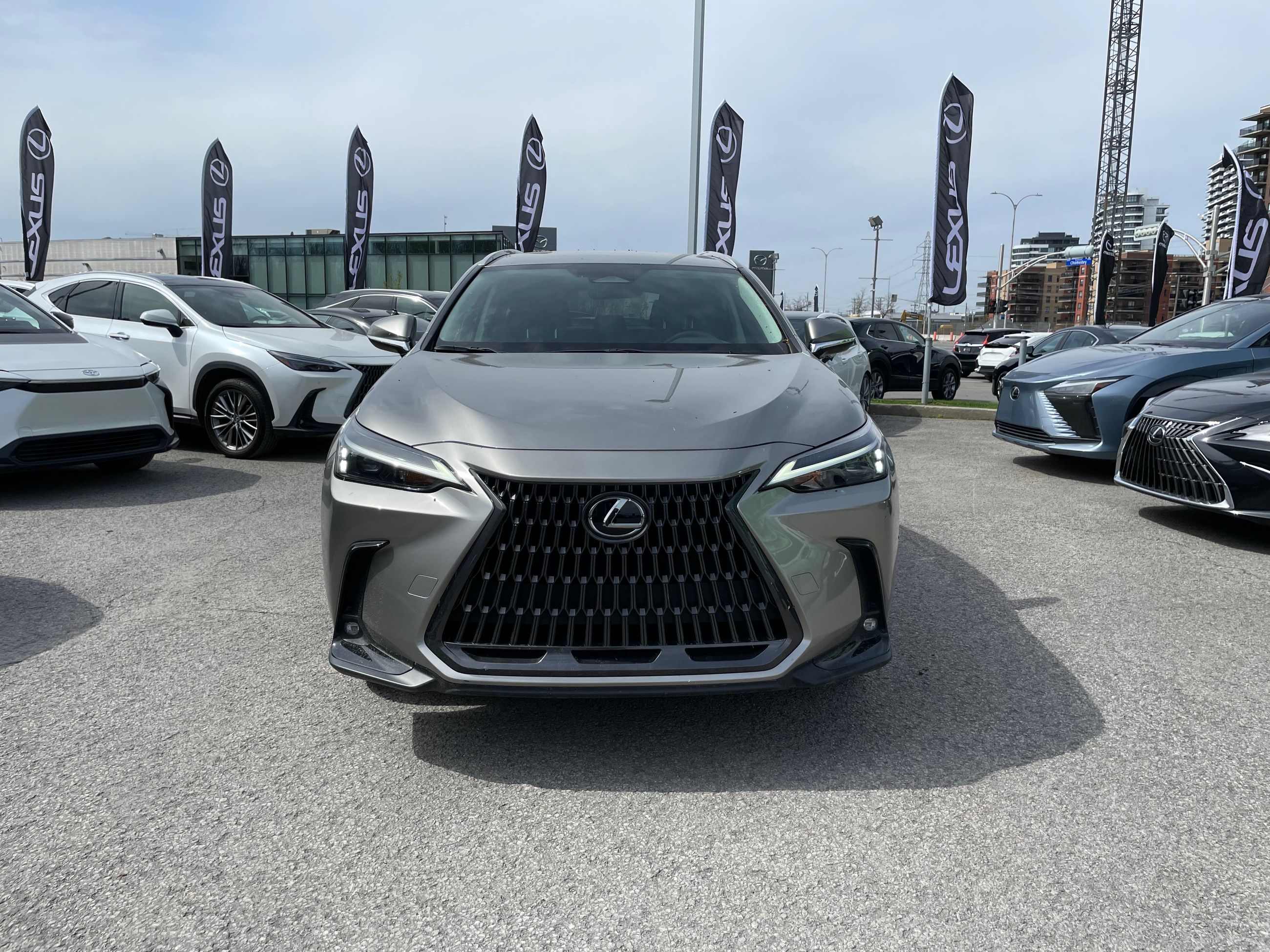 2023 Lexus NX in Laval, Quebec