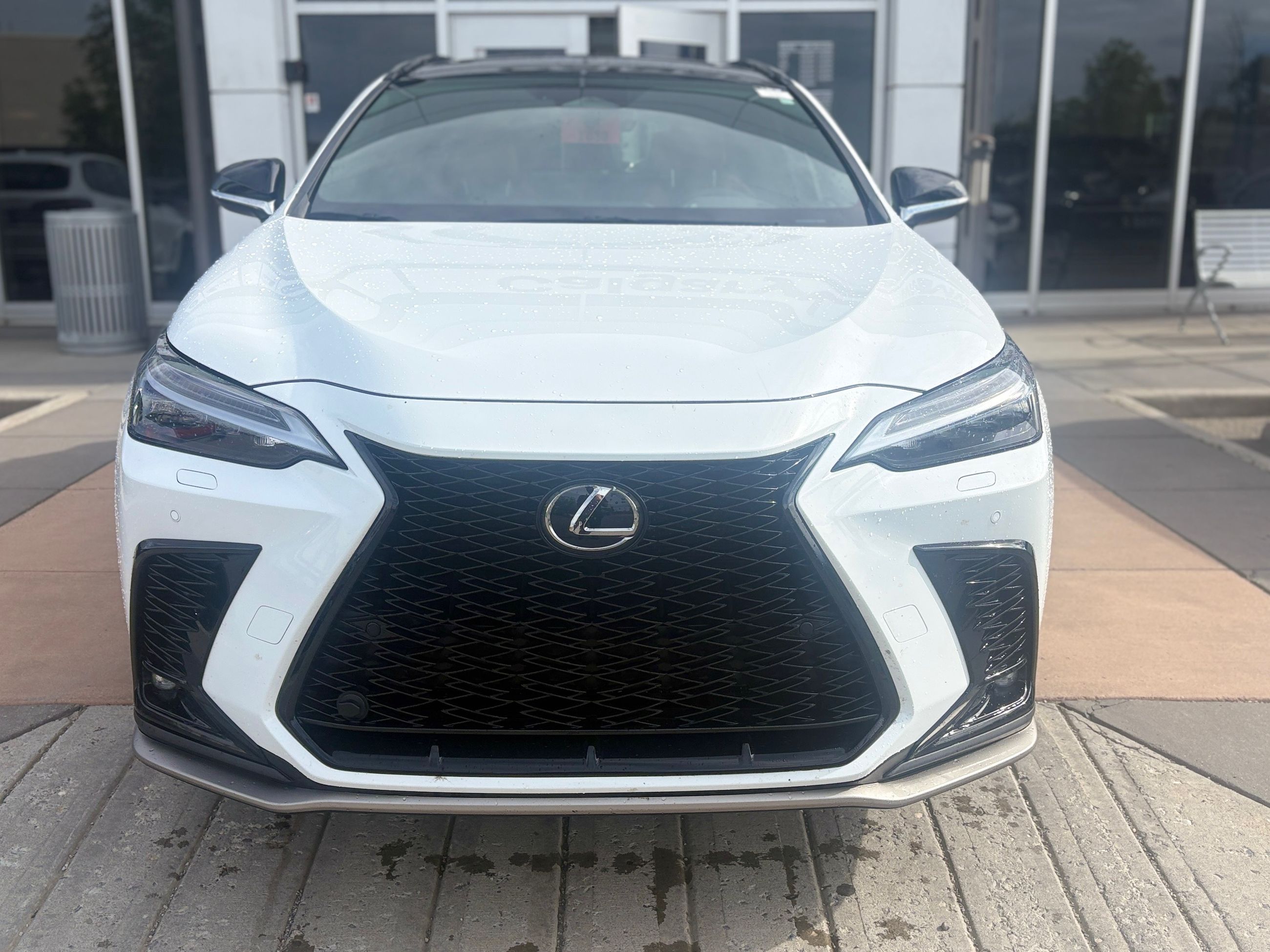 2023 Lexus NX in Calgary, Alberta