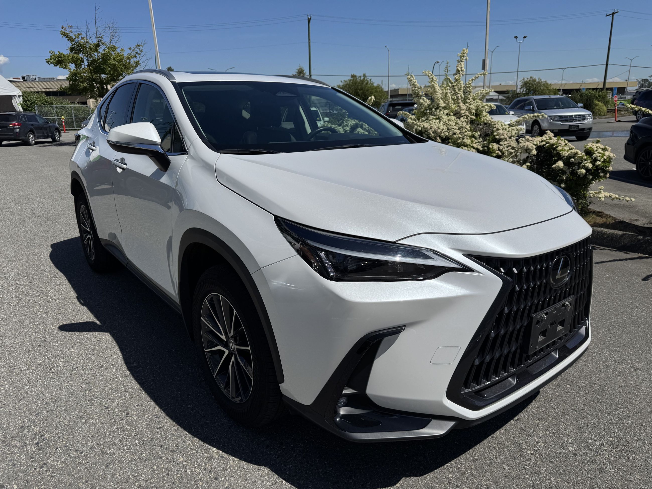 2022 Lexus NXh in Vancouver, British Columbia
