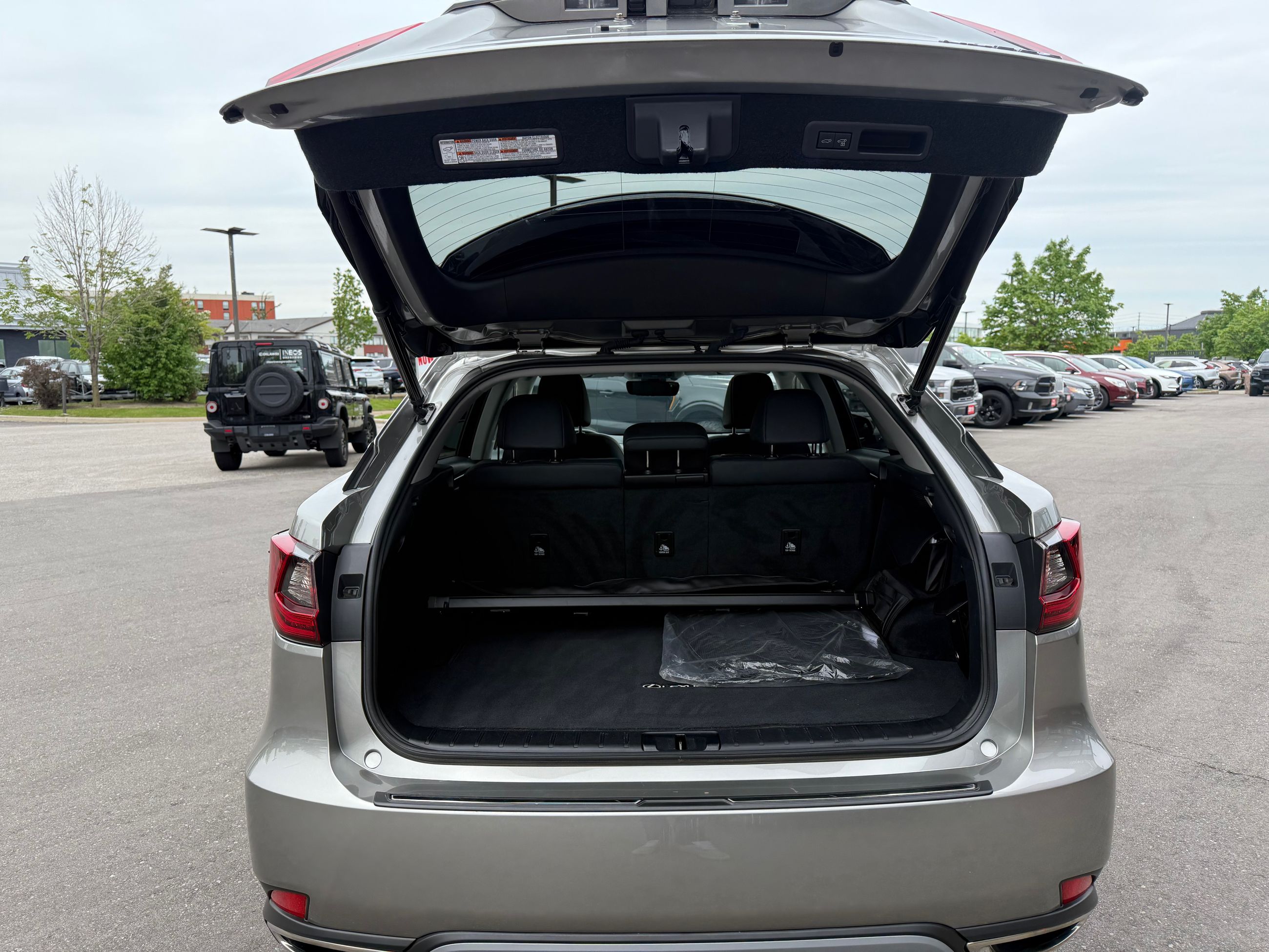 2022 Lexus RX in Mississauga, Ontario