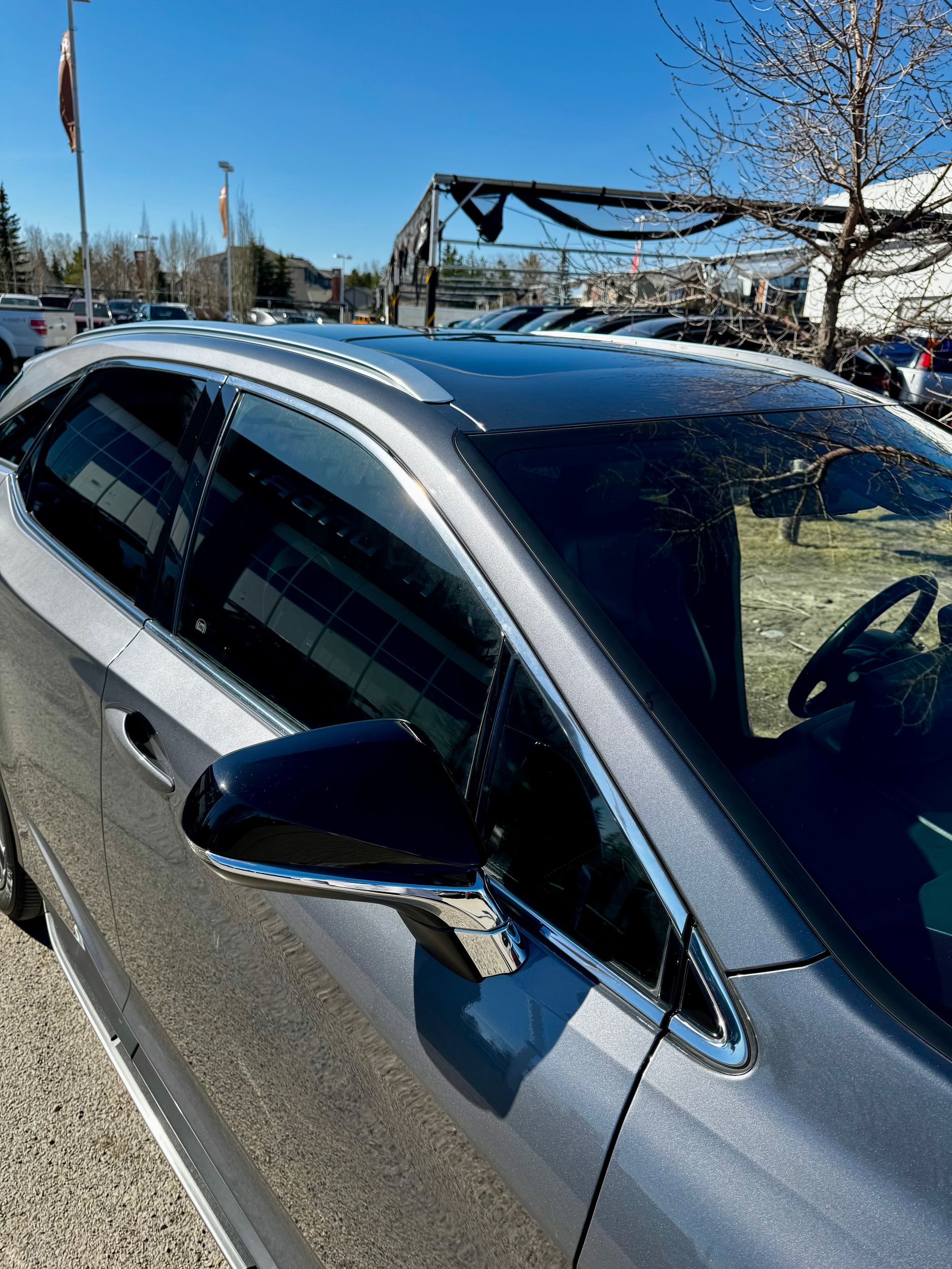 2022 Lexus RX in Calgary, Alberta