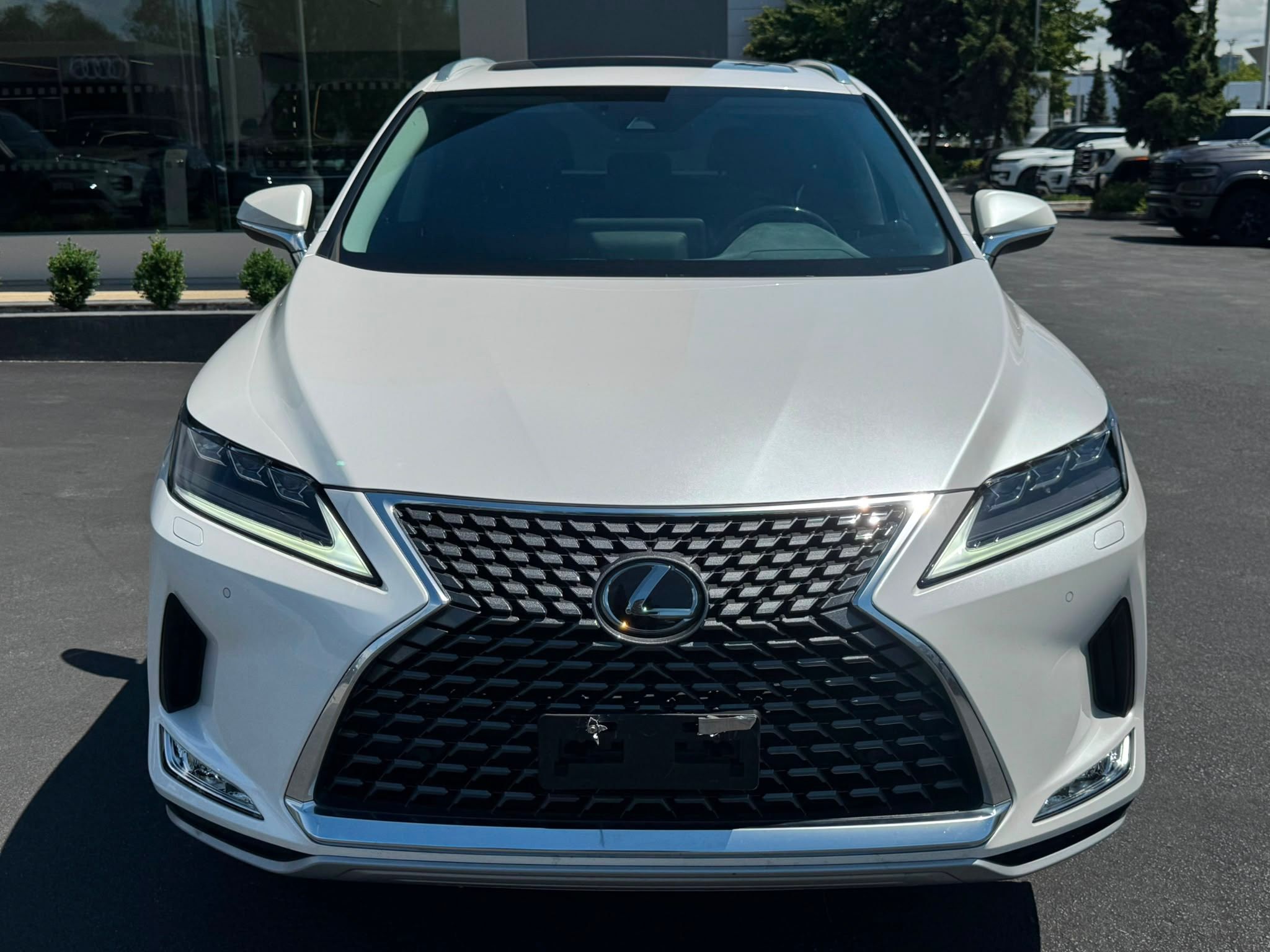 2022 Lexus RX