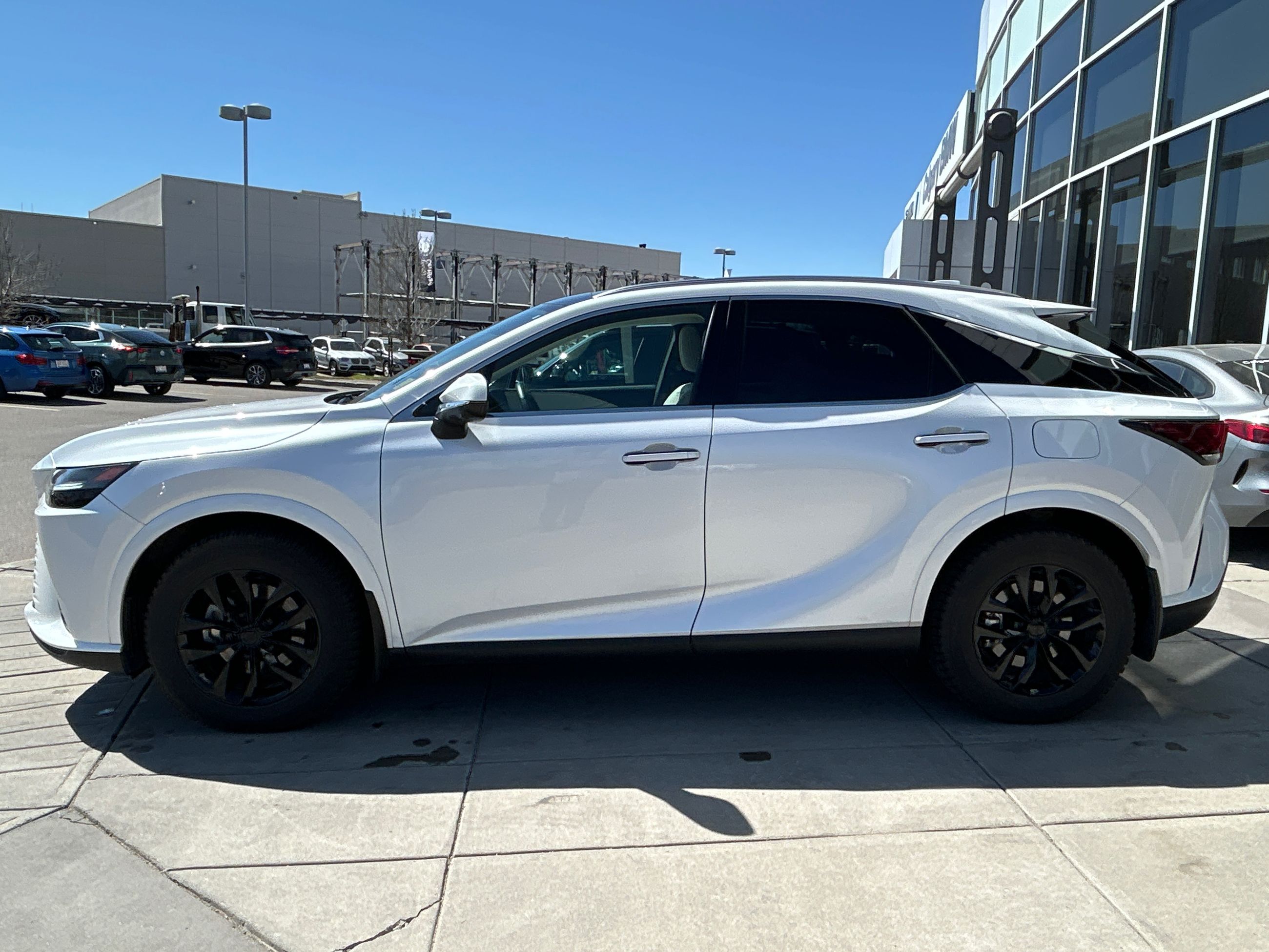 2023 Lexus RX in Calgary, Alberta