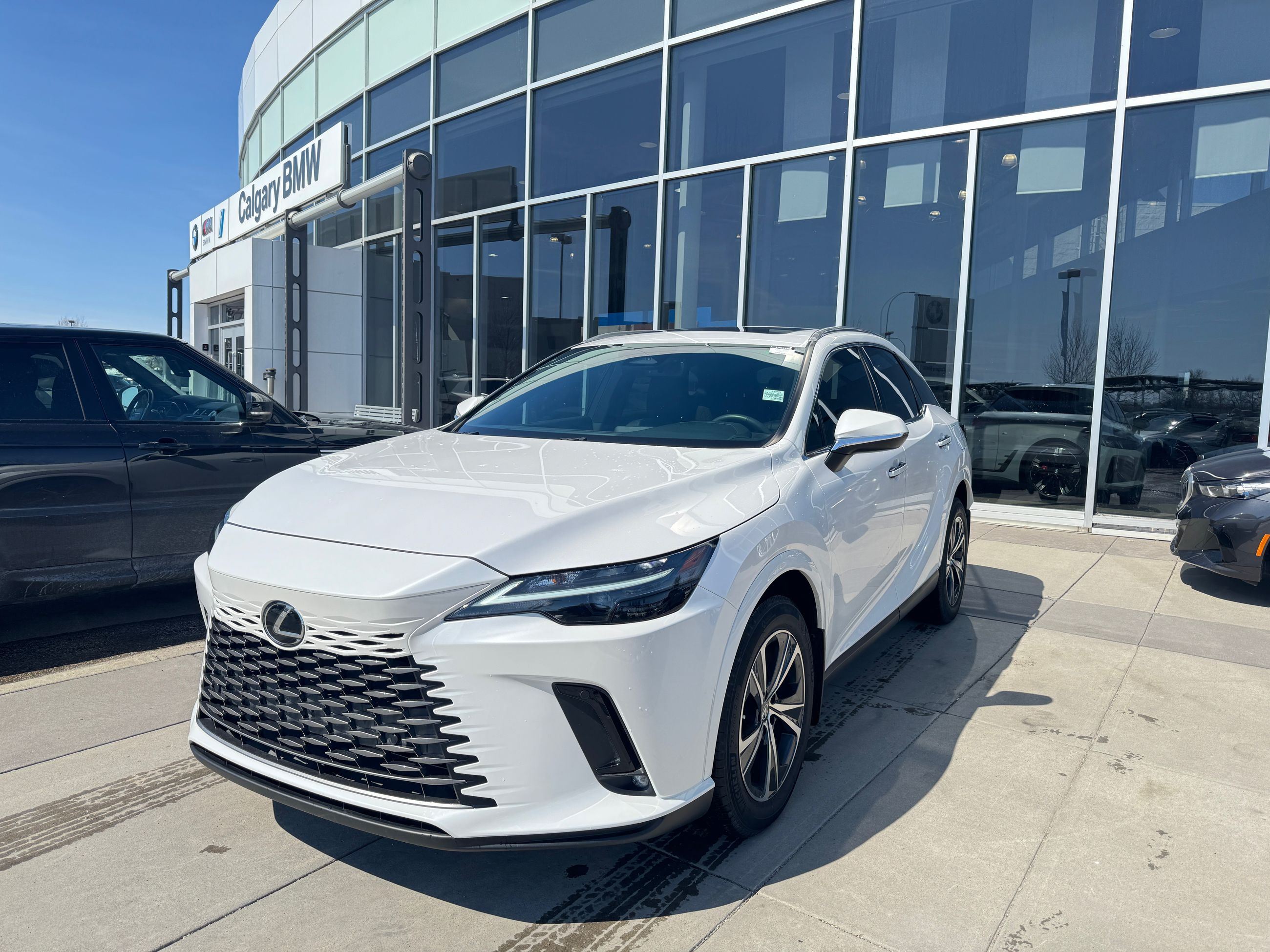 2024 Lexus RX