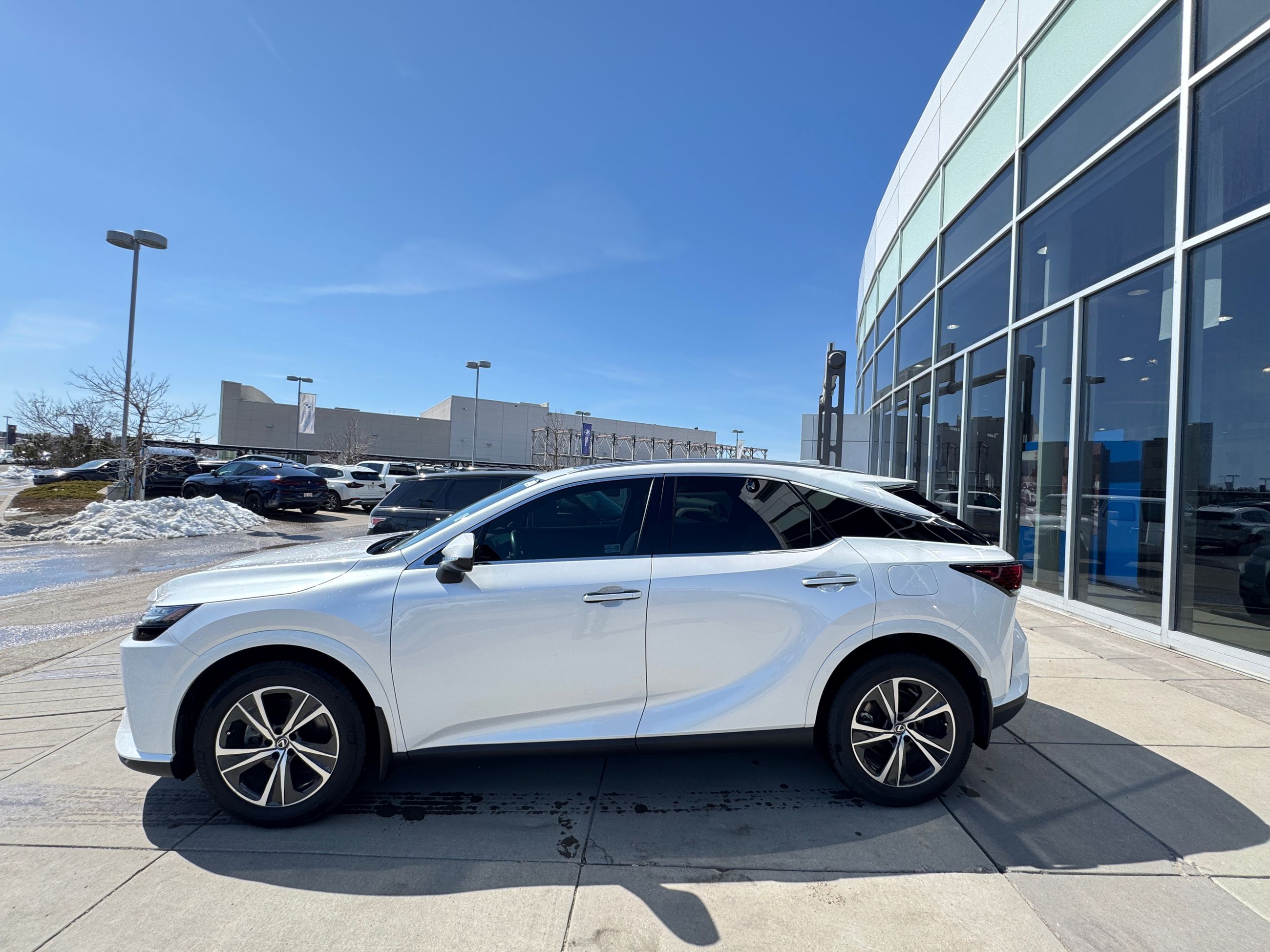 2024 Lexus RX