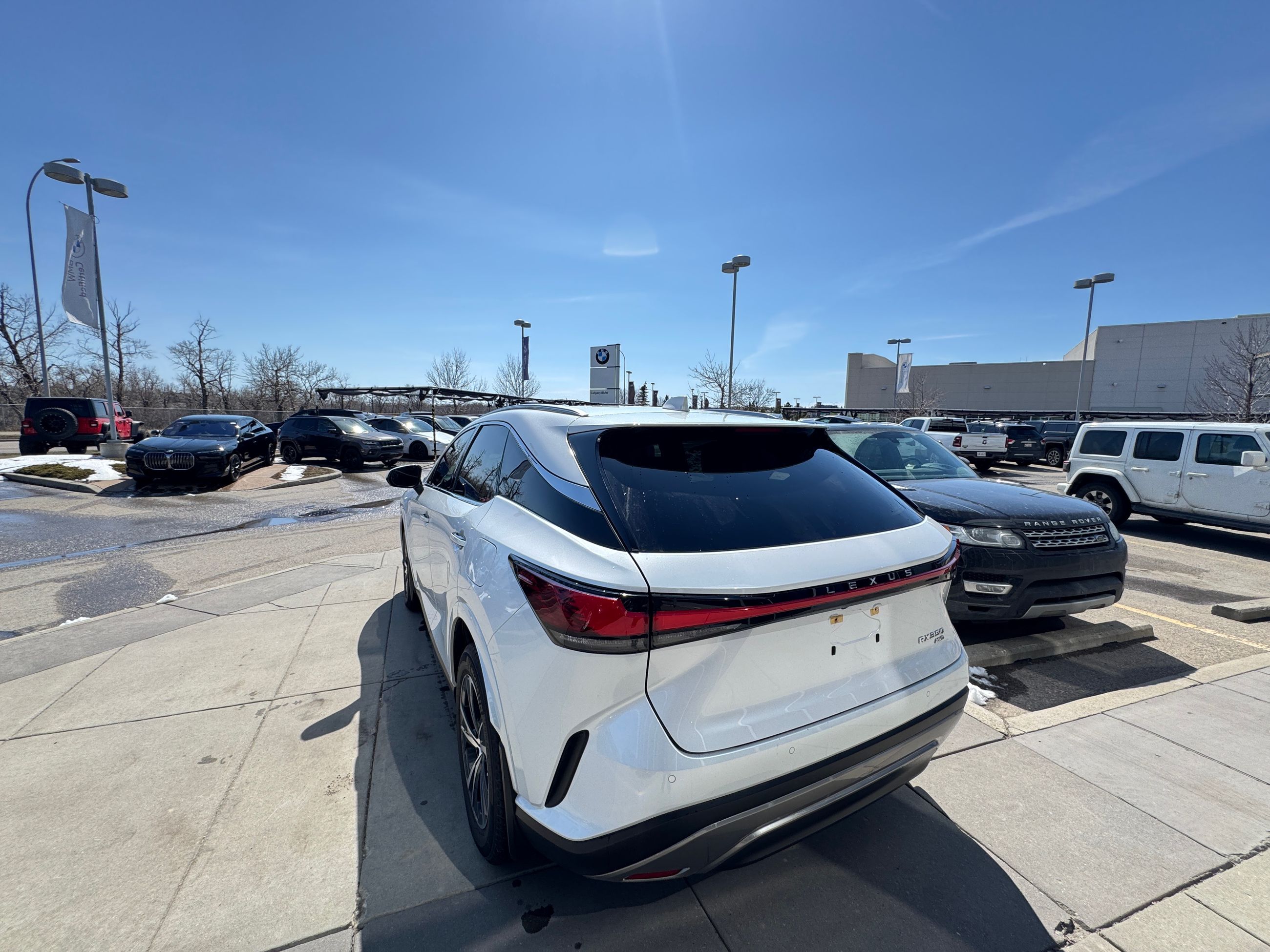 2024 Lexus RX