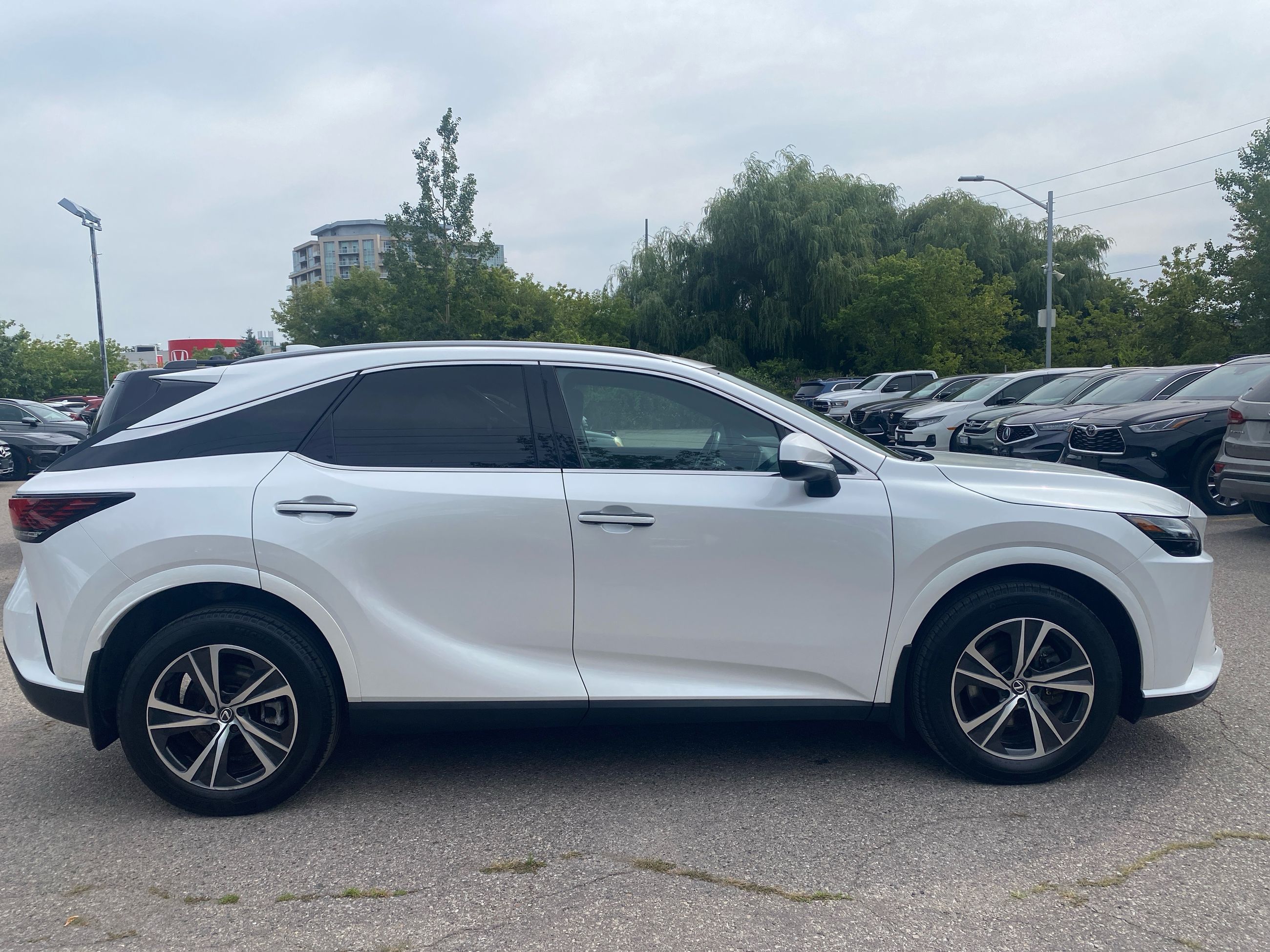 2024 Lexus RXh