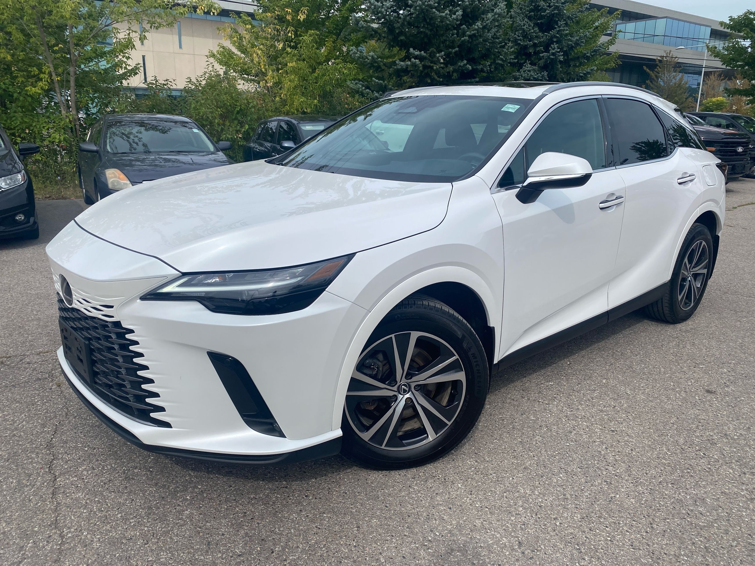 2024 Lexus RXh