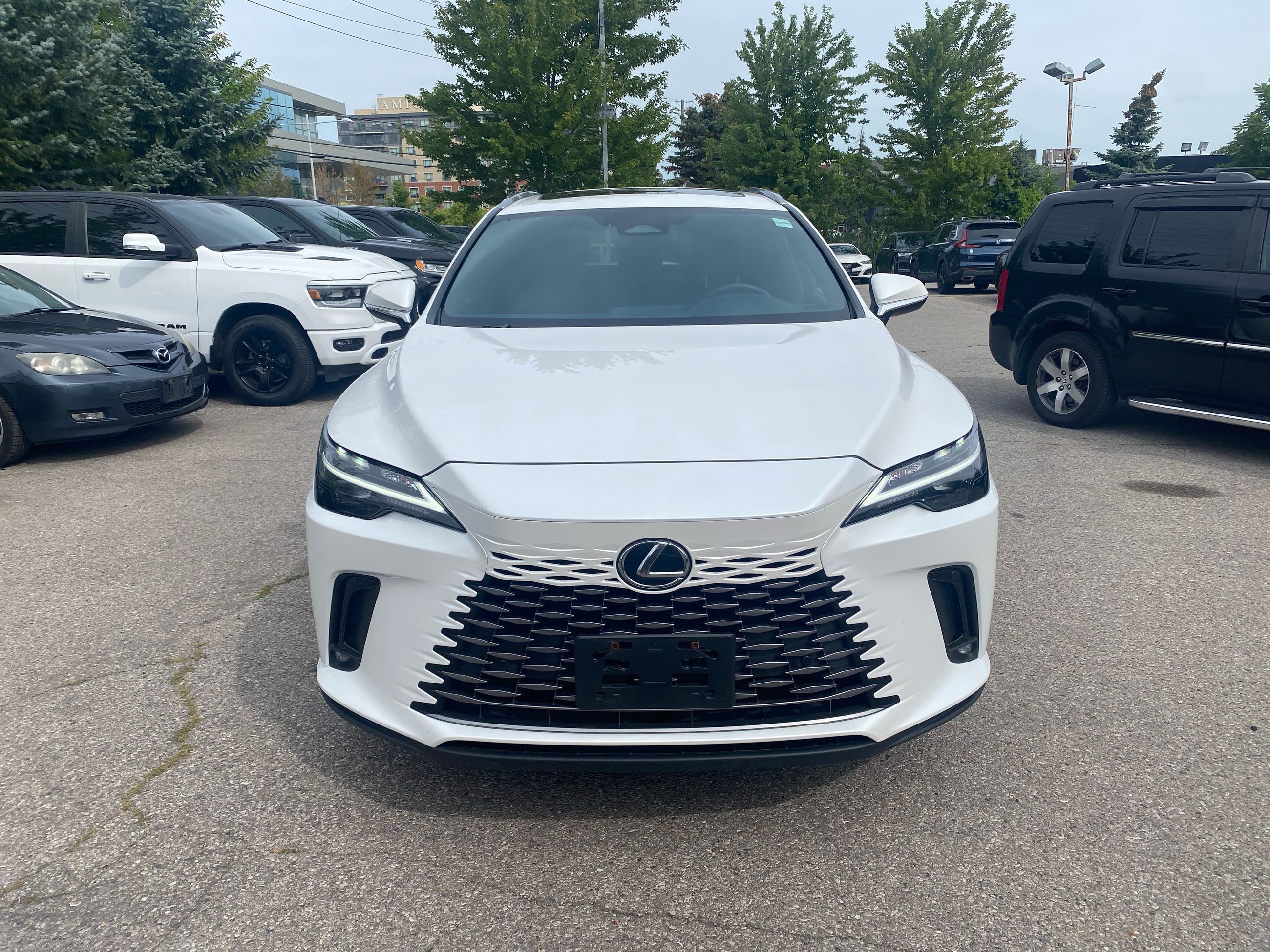 2024 Lexus RXh