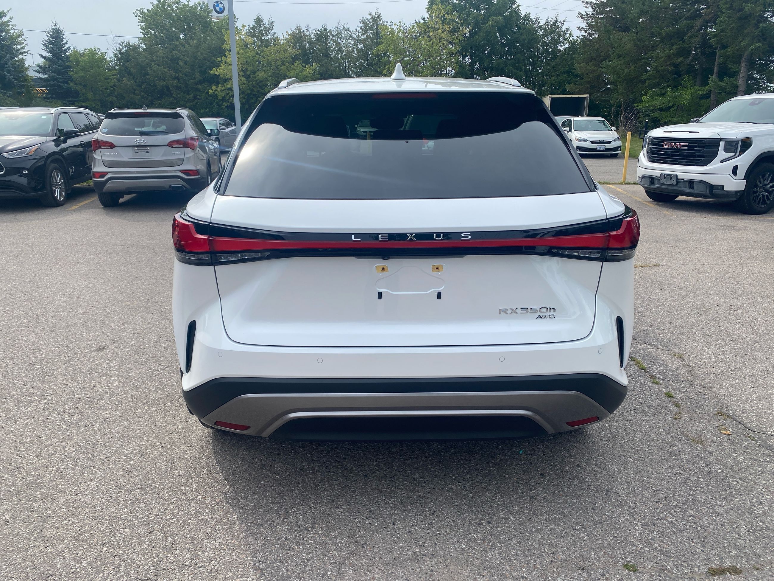 2024 Lexus RXh