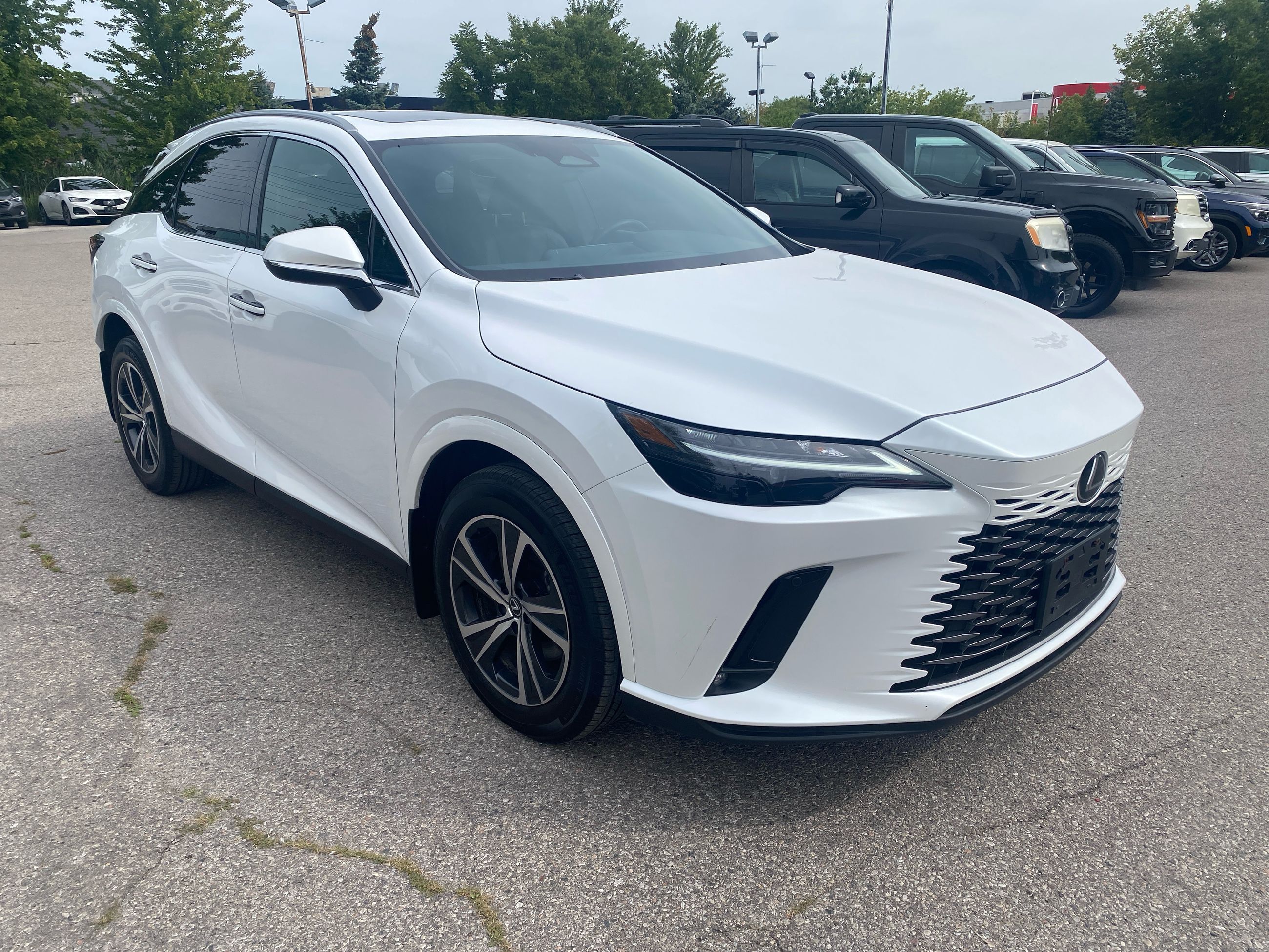 2024 Lexus RXh