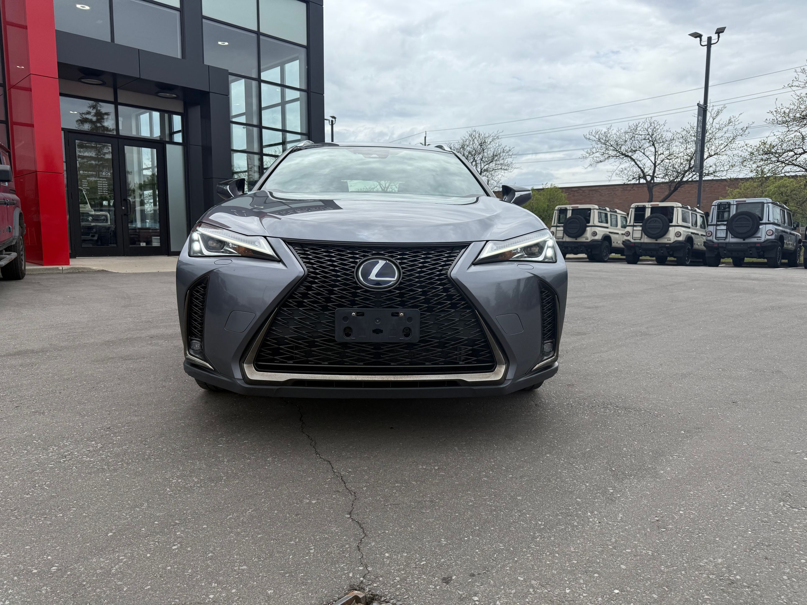 2019 Lexus UX in Mississauga, Ontario