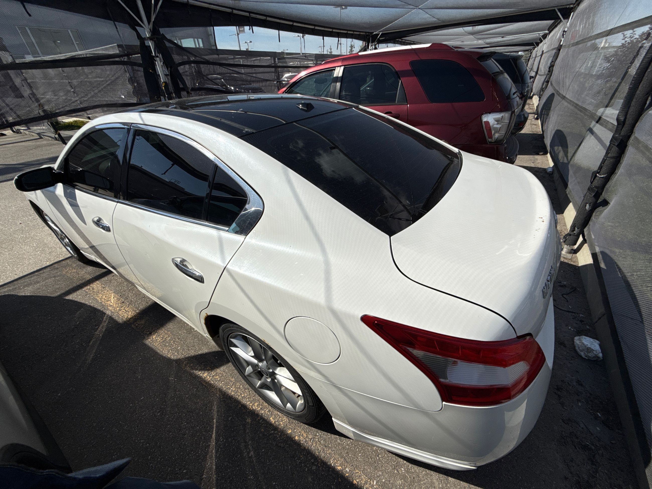 2011 Nissan Maxima in Calgary, Alberta