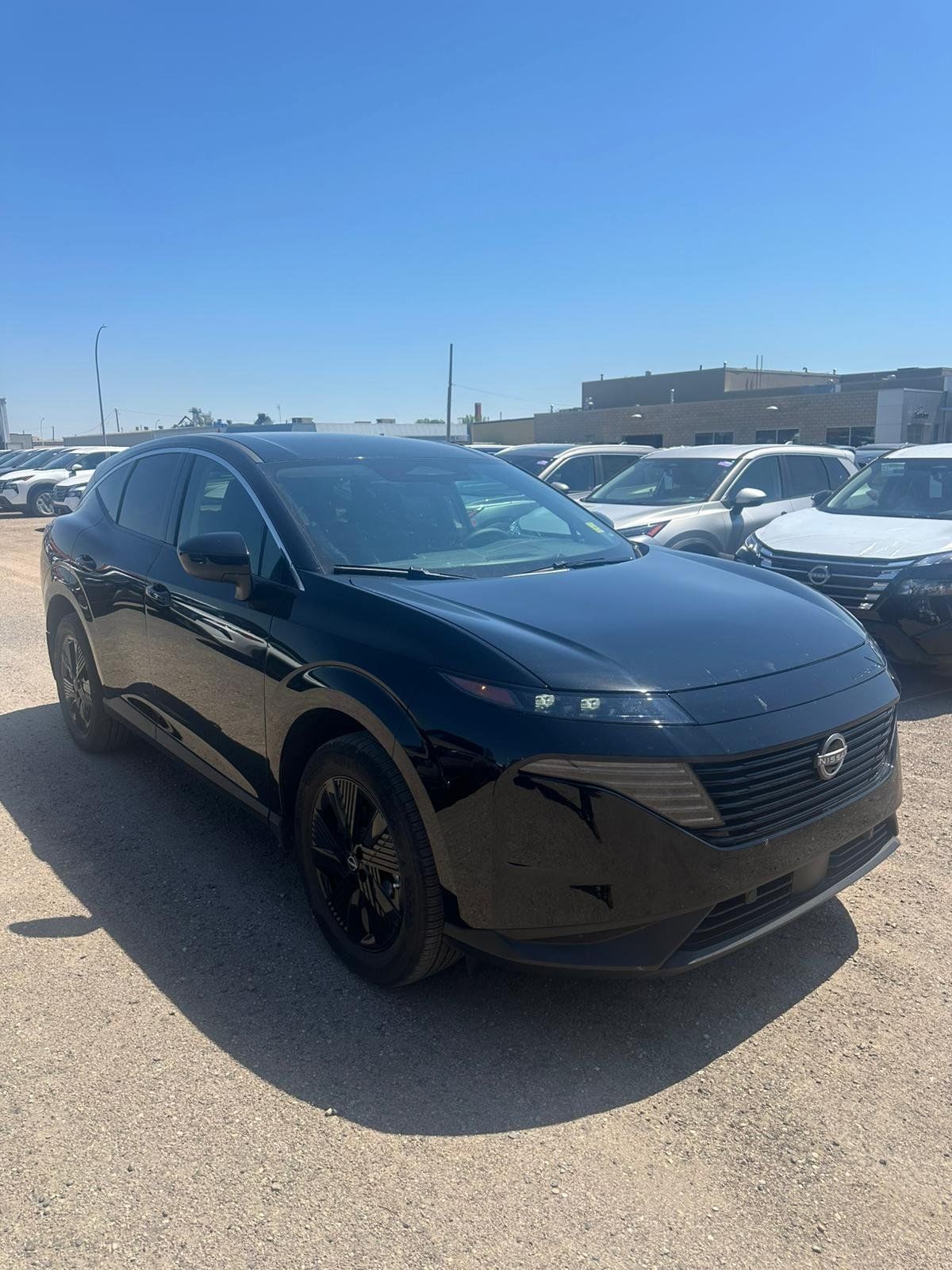 2025 Nissan Murano in Regina, Saskatchewan