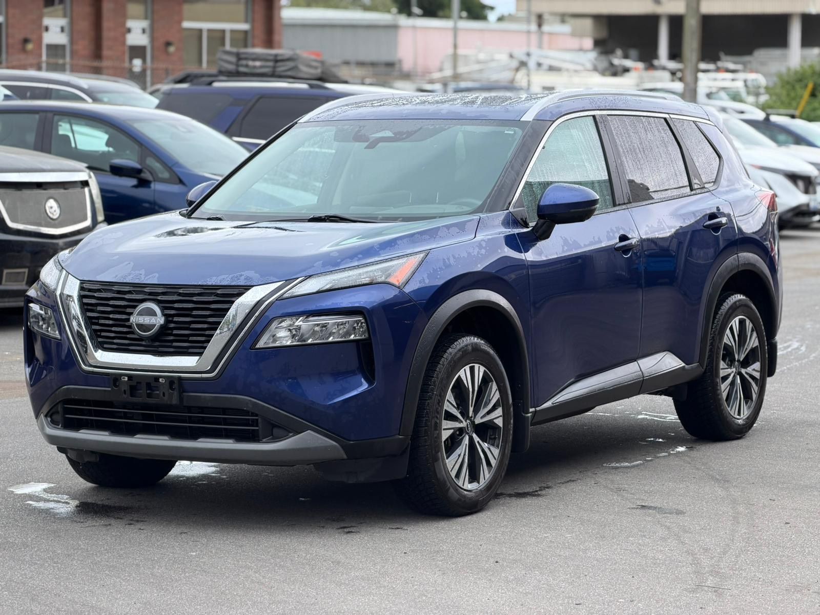 2023  Rogue