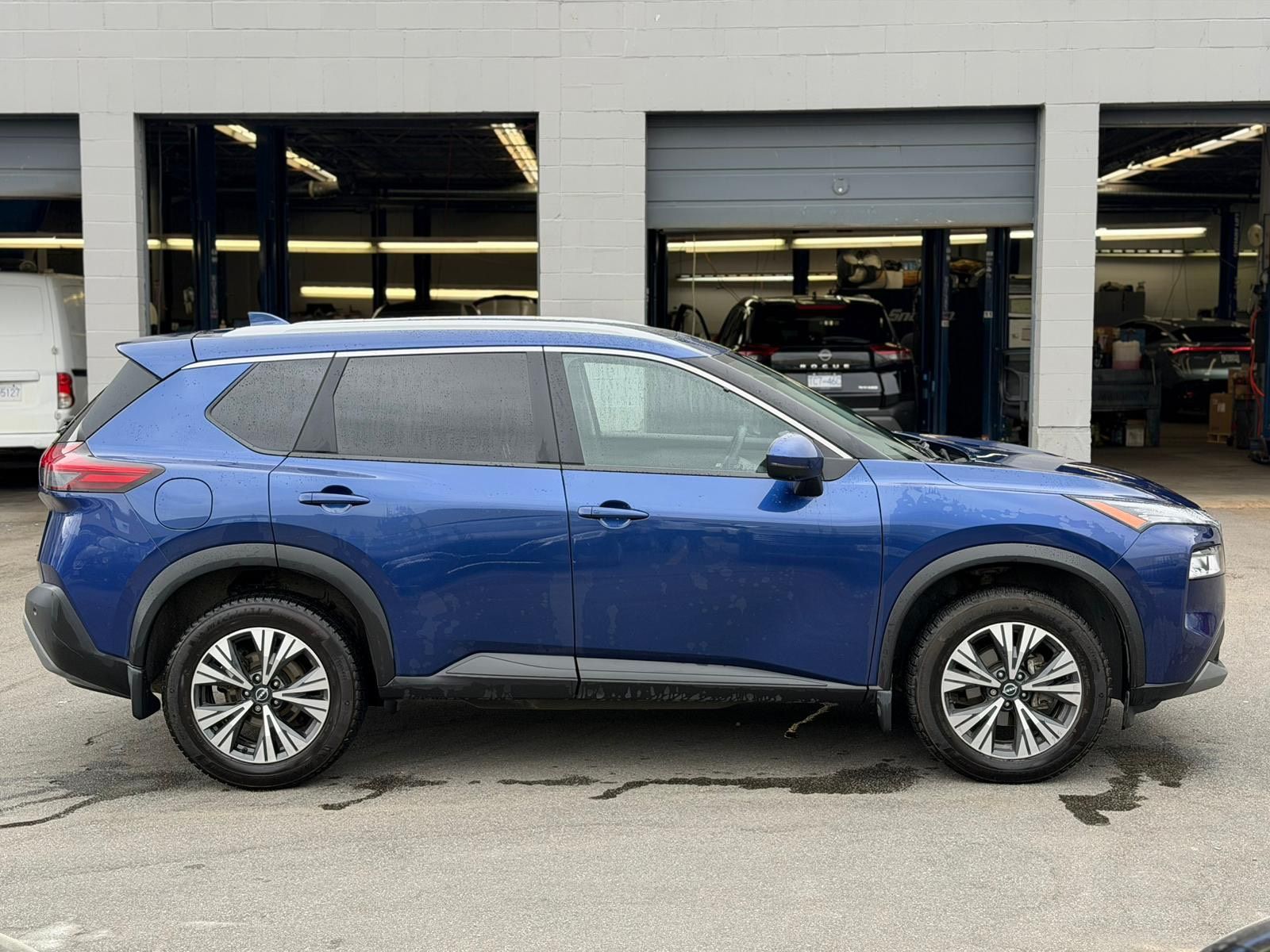 2023  Rogue