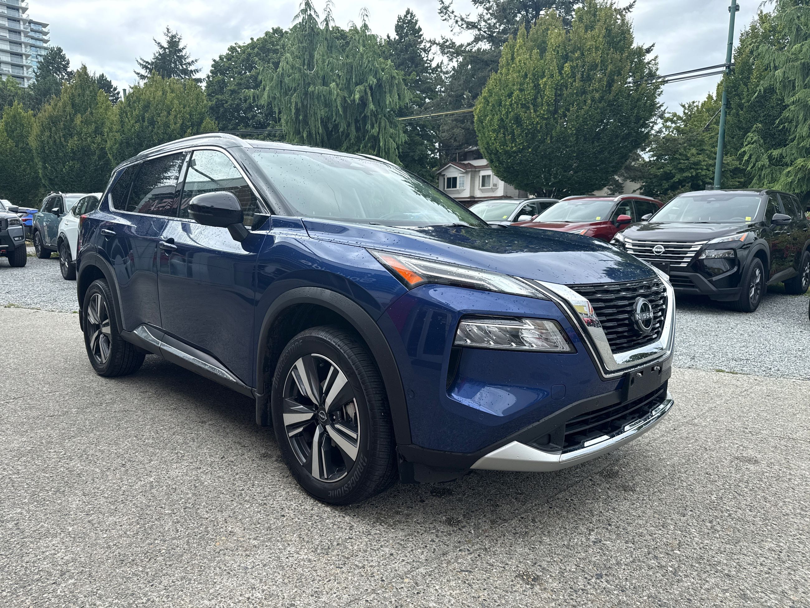 2023  Rogue
