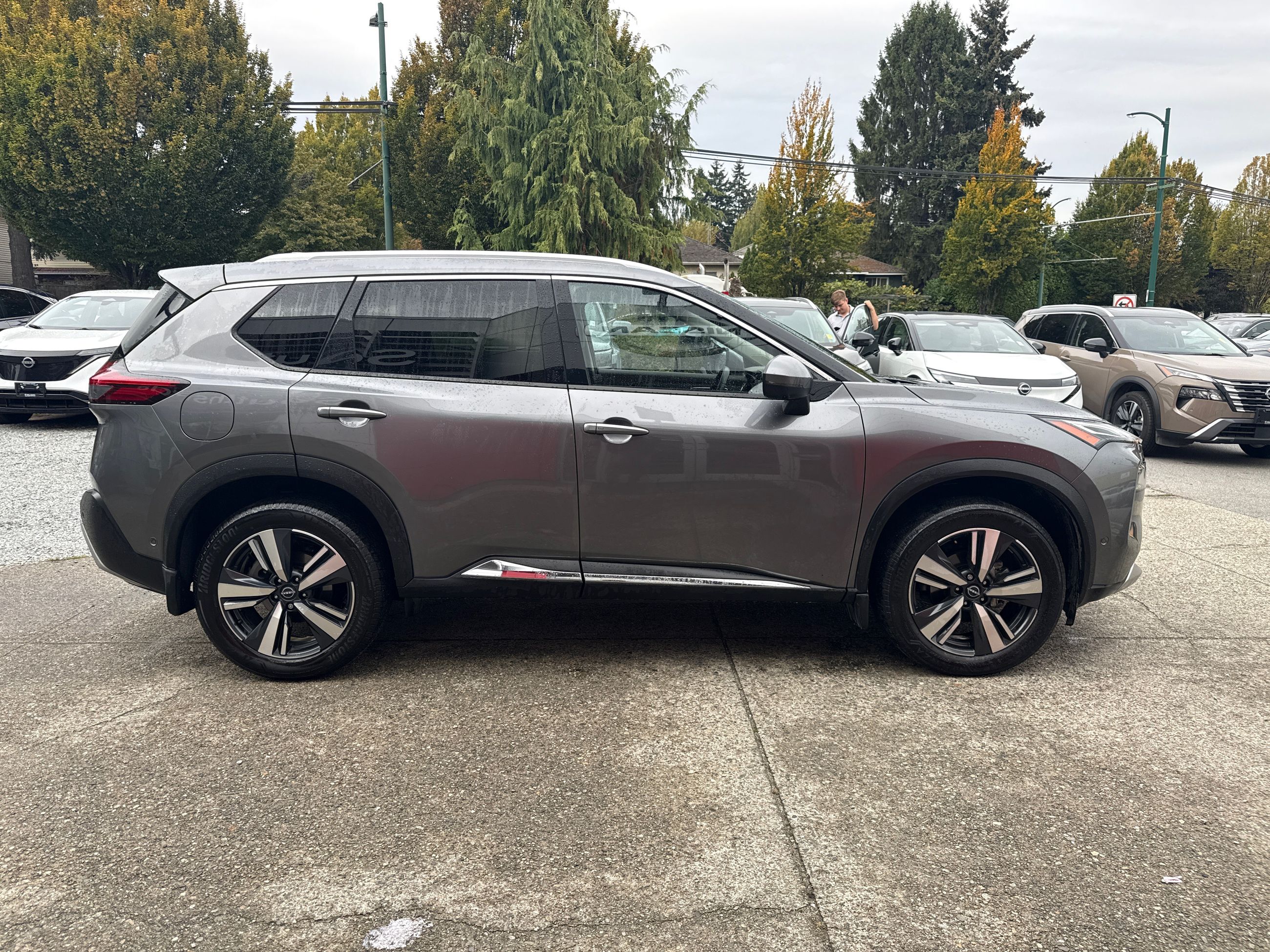 2023  Rogue