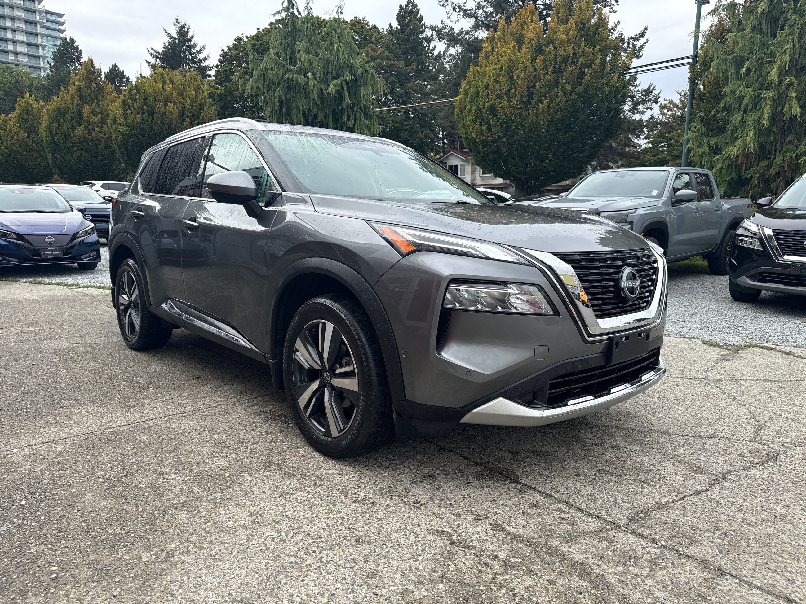 2023  Rogue